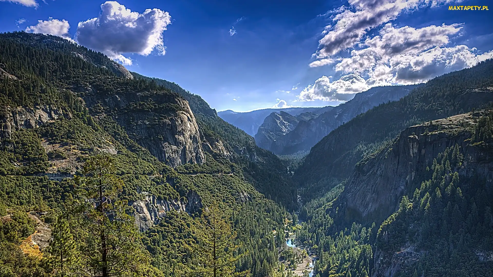 Las, Góry, Stan Kalifornia, Stany Zjednoczone, Park Narodowy Yosemite, Rzeka