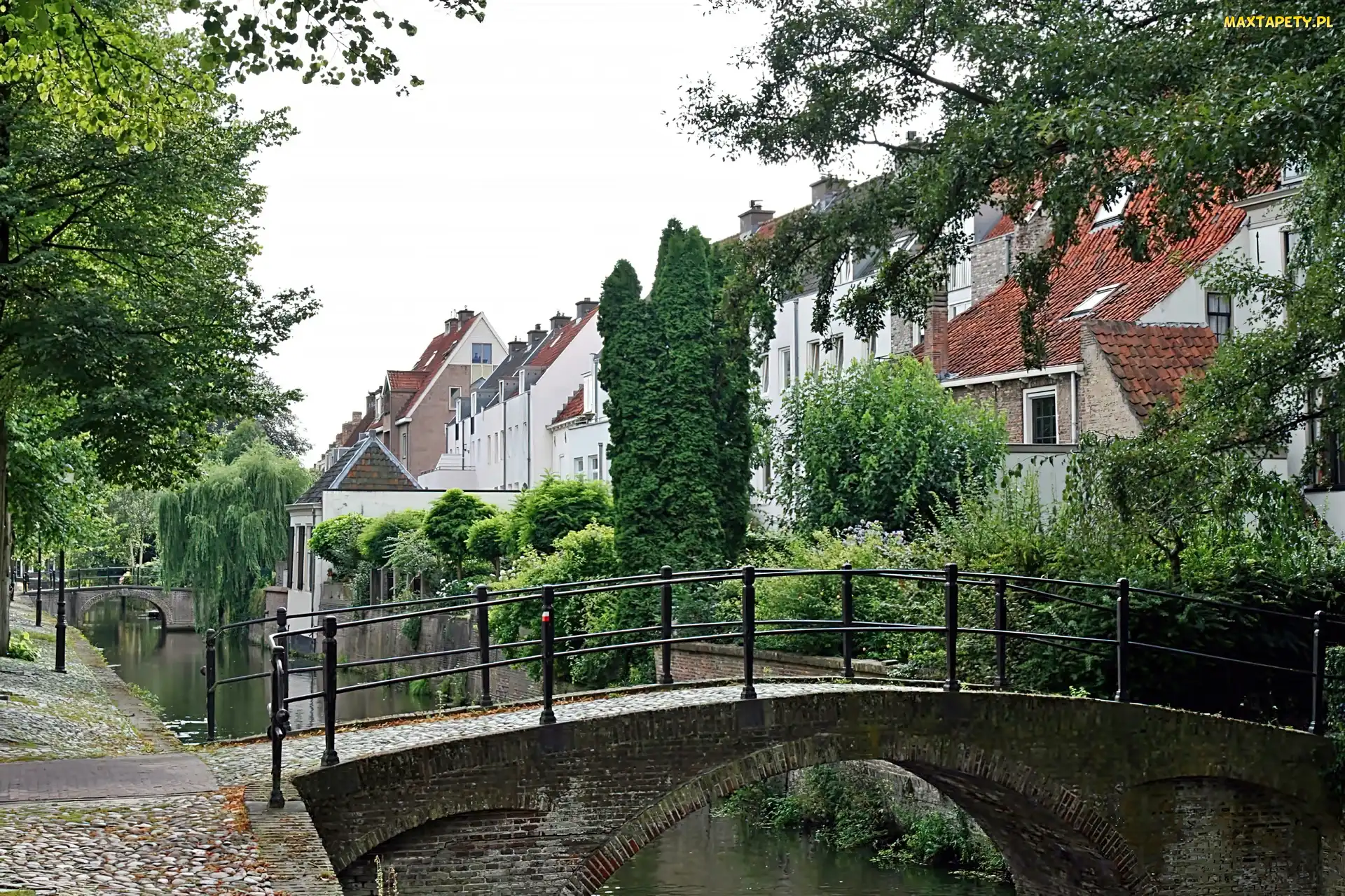 Amersfoort, Mosty, Roślinność, Domy, Rzeka, Eem