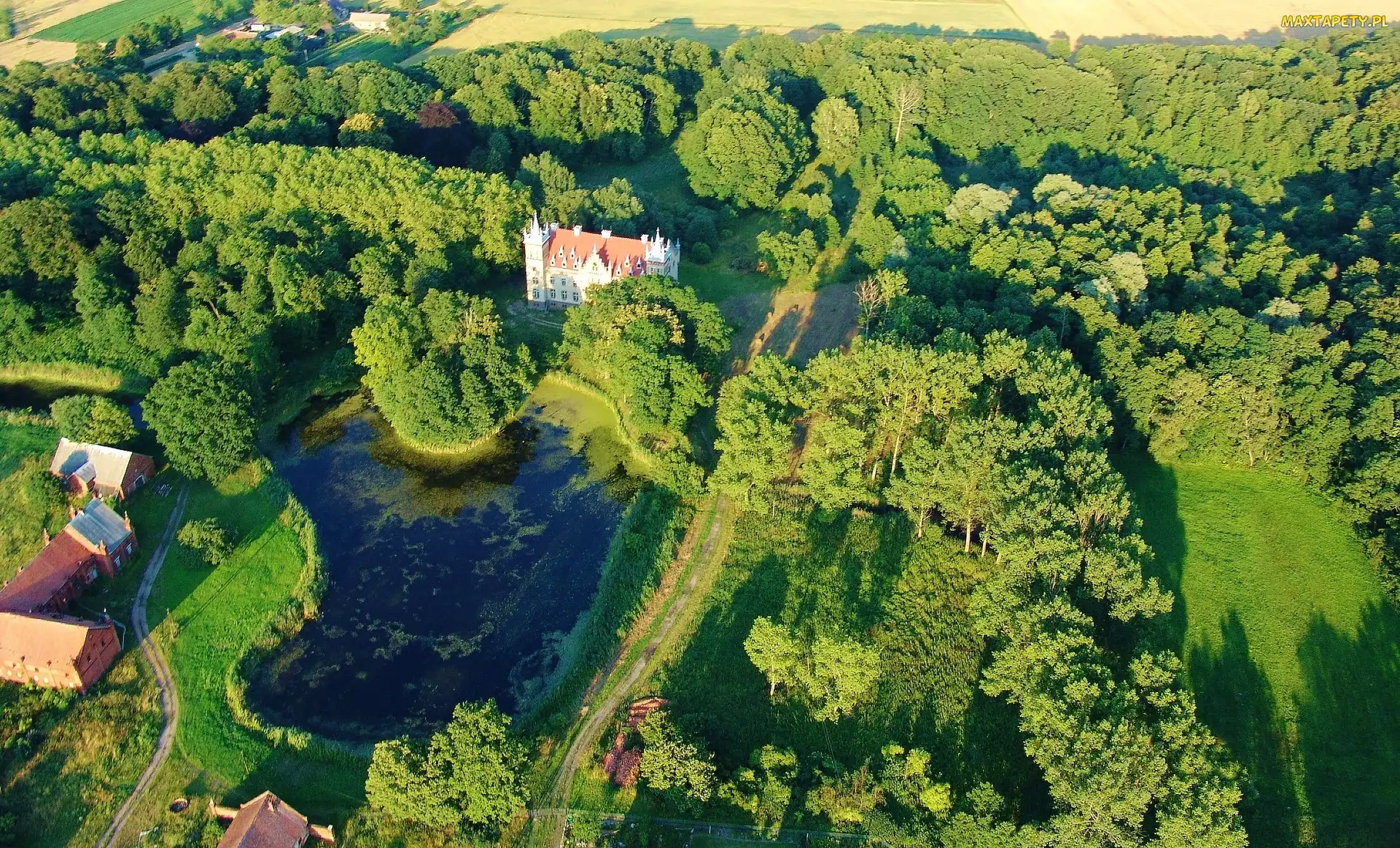 Staw, Park, Wieś Rozbitek, Zabytek, Polska, Pałac w Rozbitku, Wielkopolskie