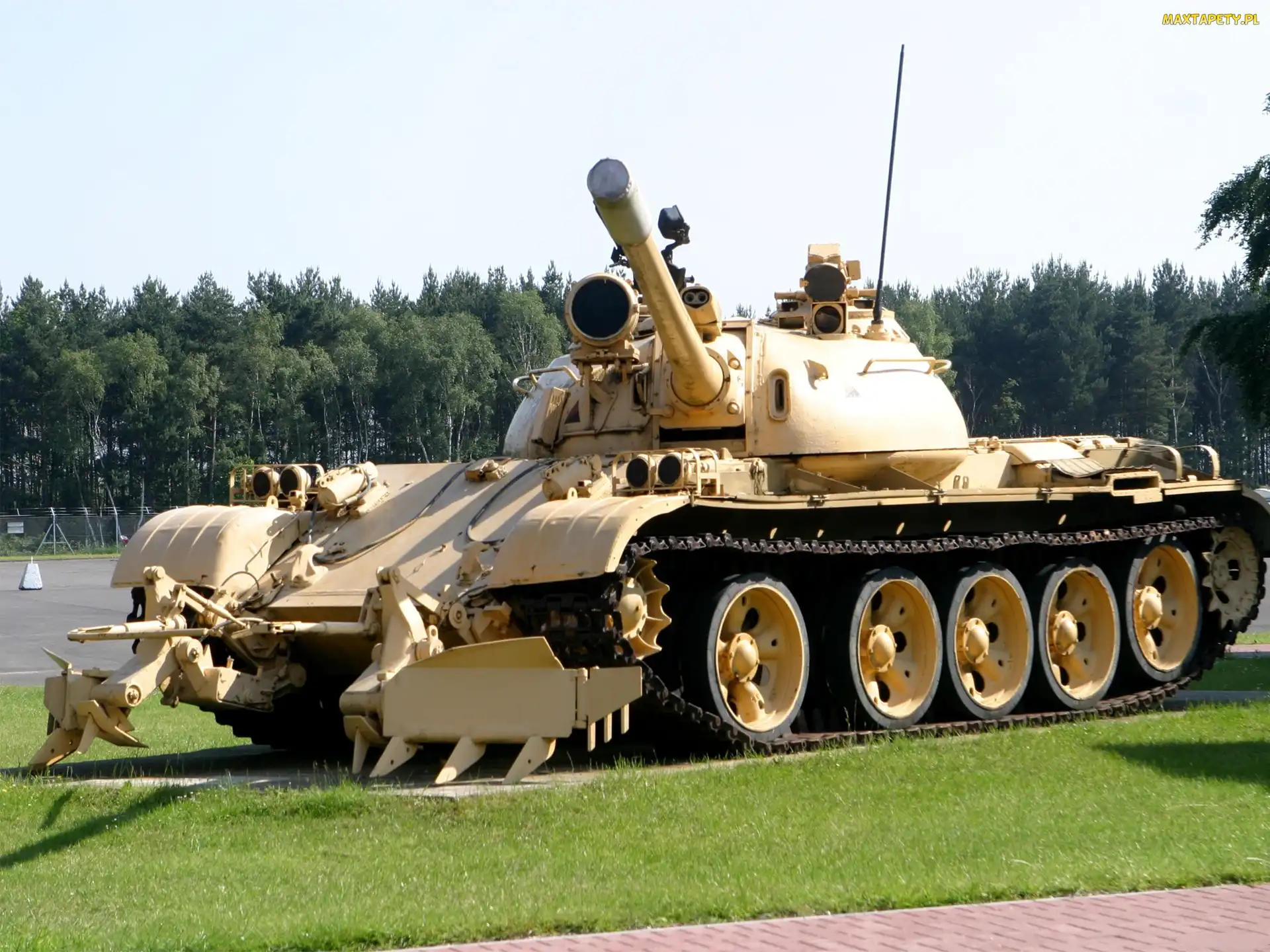 Trawa, Drzewa, Czołg, T-55