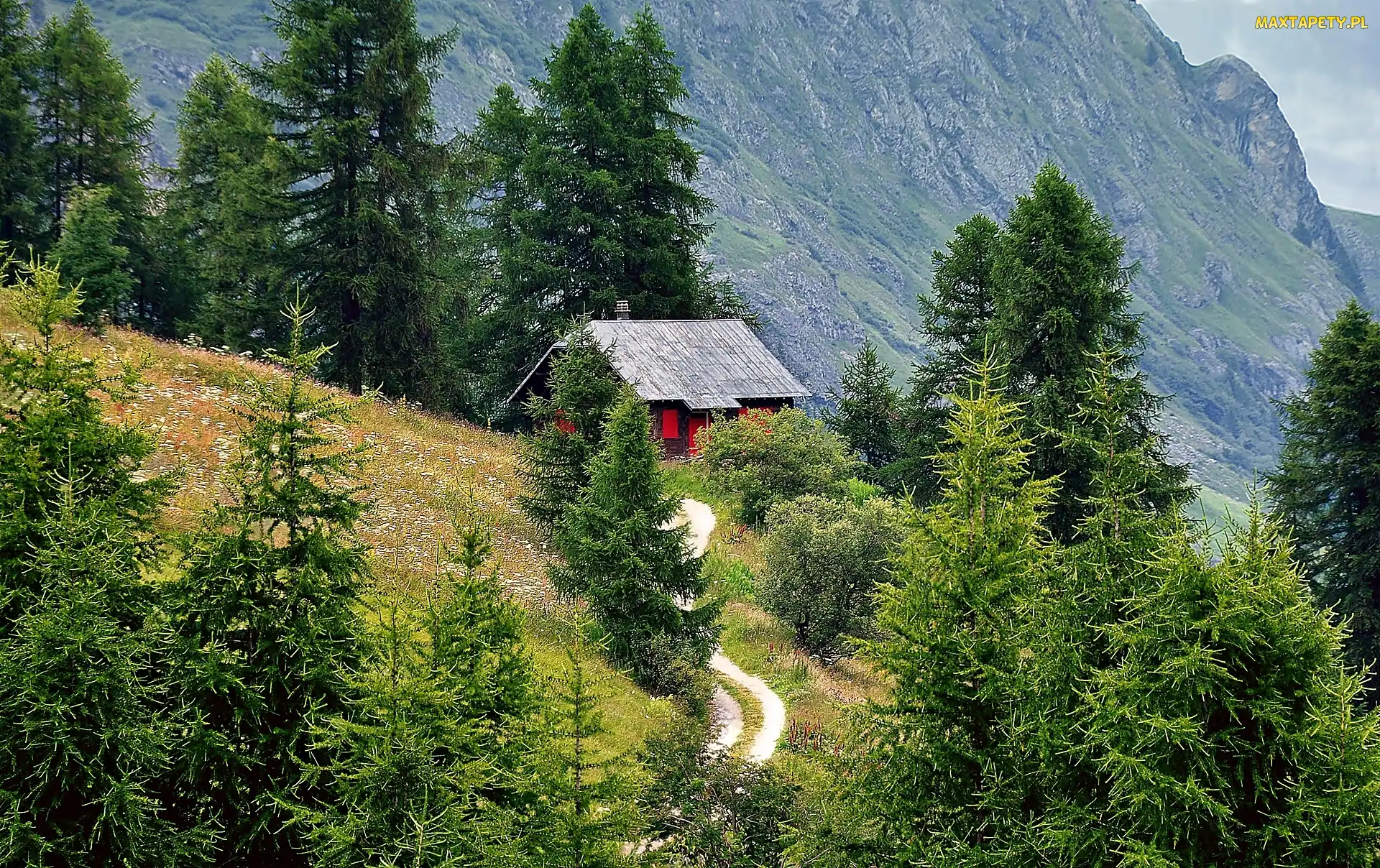Dom, Droga, Alpy, Tyrol, Łąka, Góry, Las