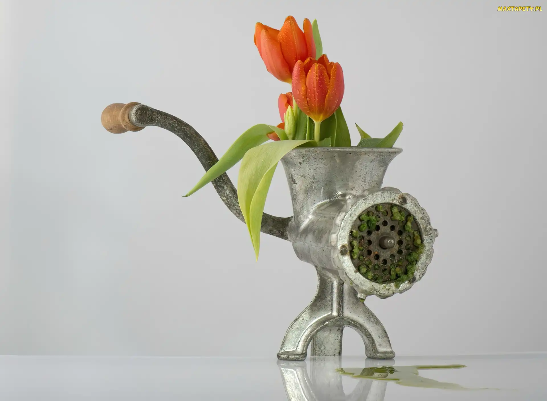Maszynka, Mięsa, Mielenia, Do, Tulipany