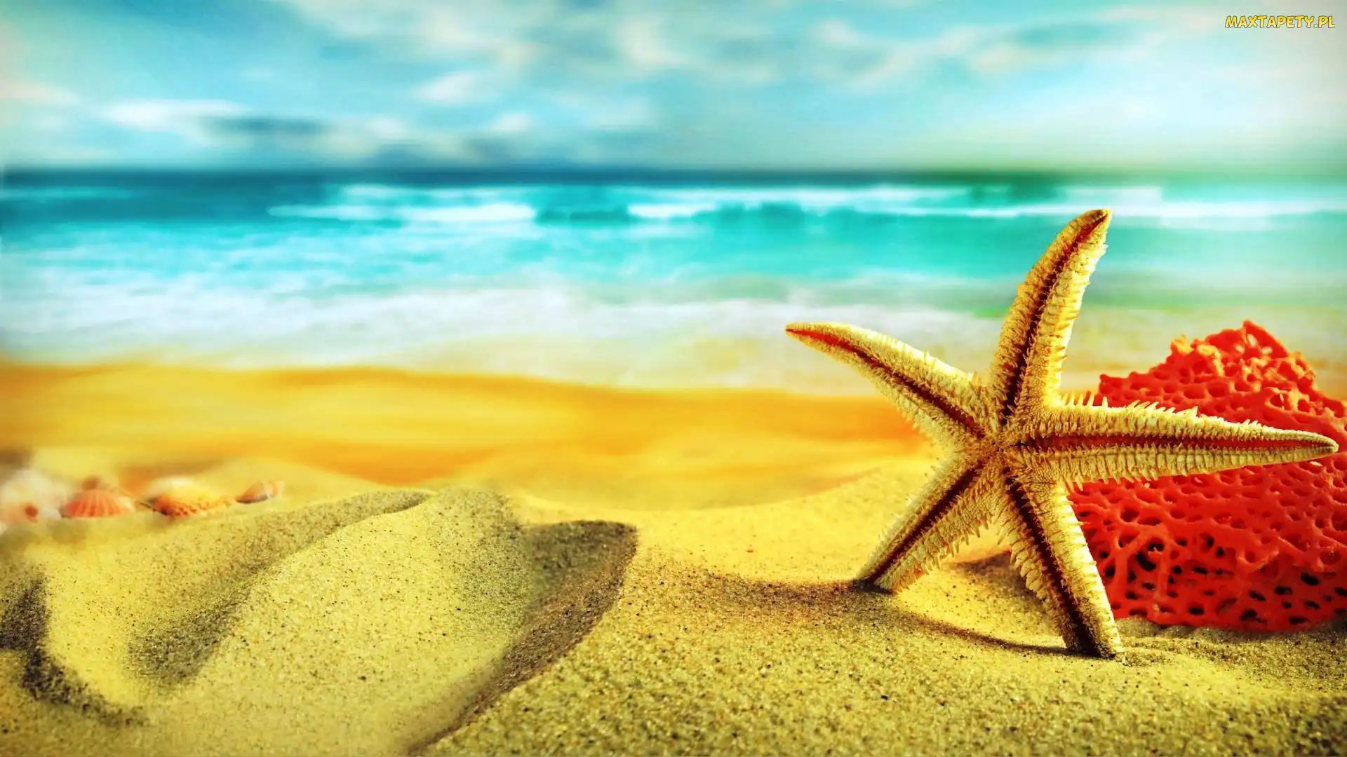 Morze, Koral, Rozgwiazda, Plaża