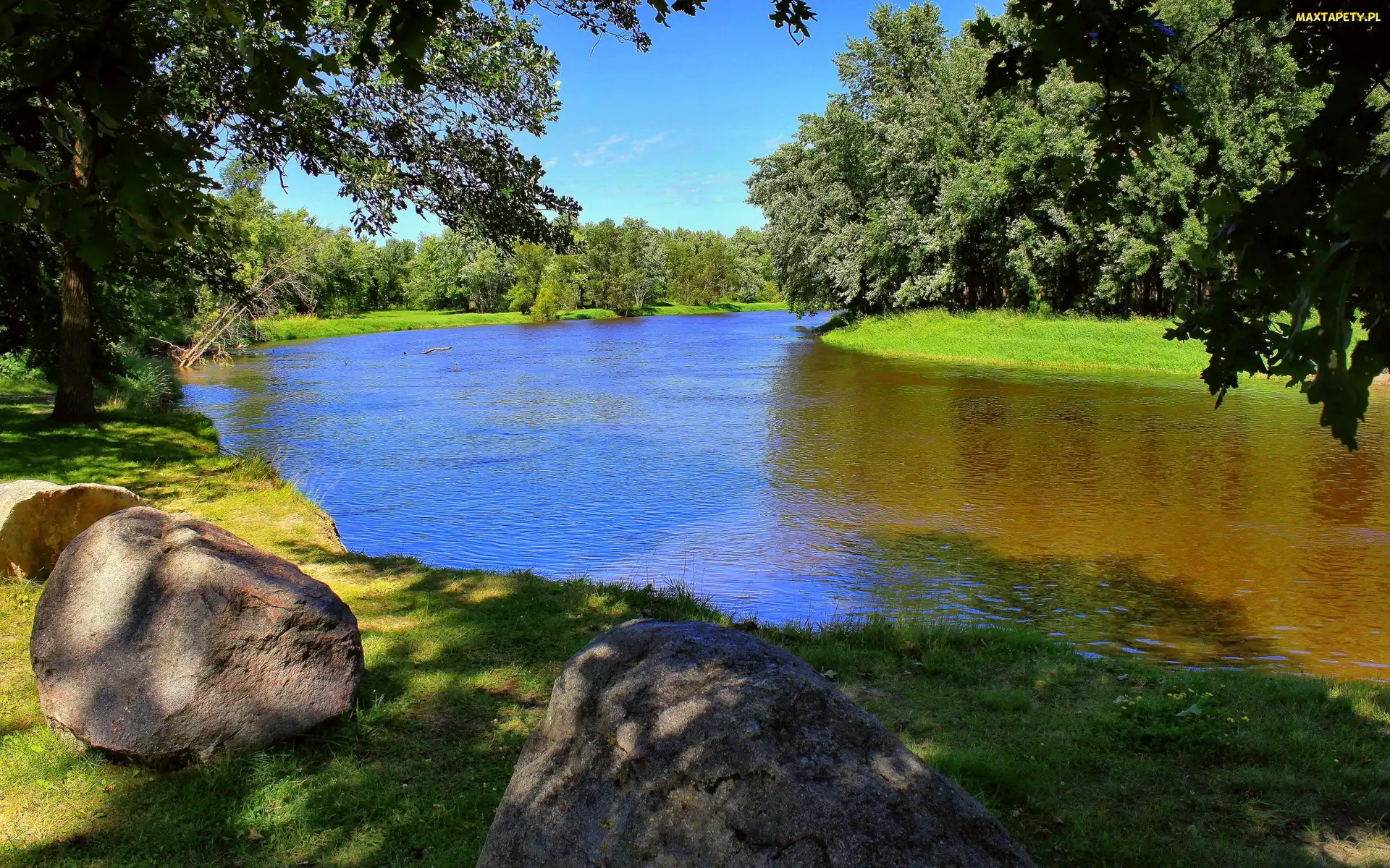 Kamienie, Las, Rzeka