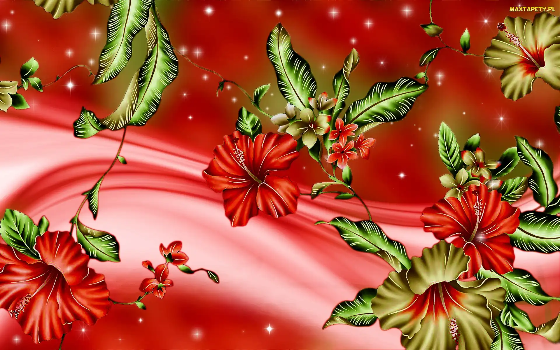 Hibiskus, Art, Kwiaty