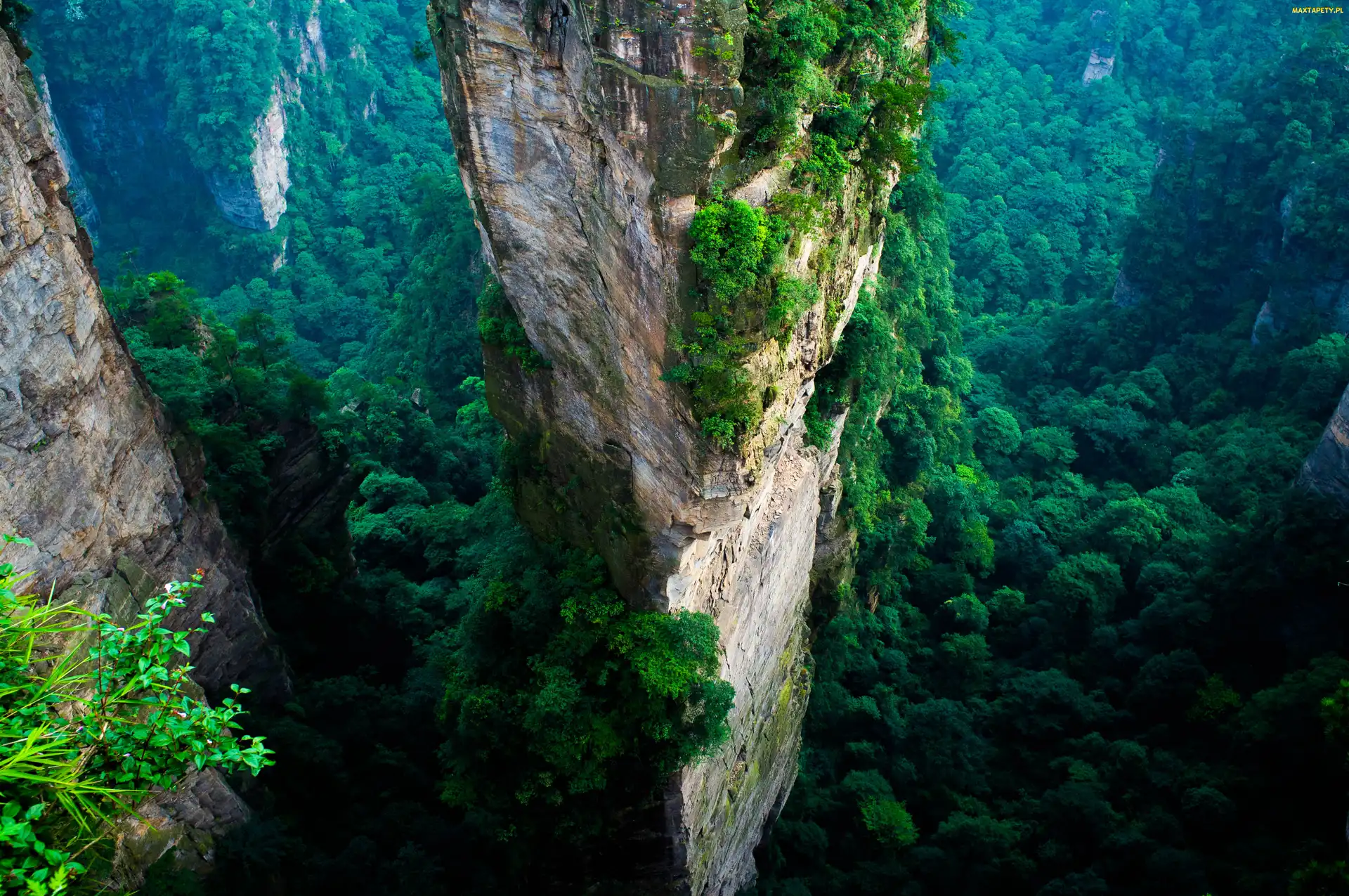 Lasy, Góry, Zhangjiajie, Światło, Park, Narodowy, Przebijające