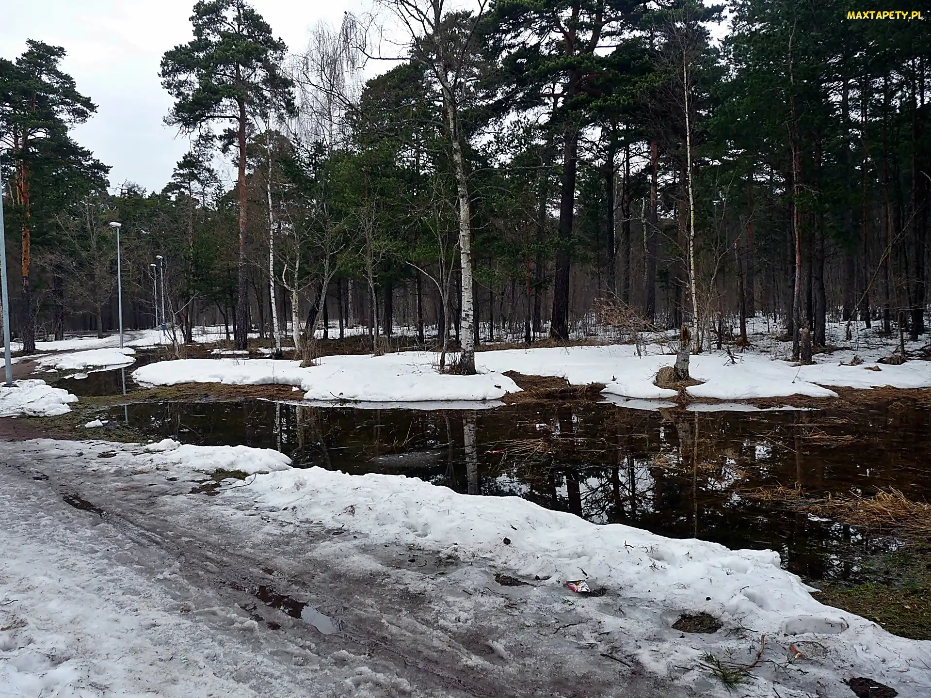 Zima, Staw, Park