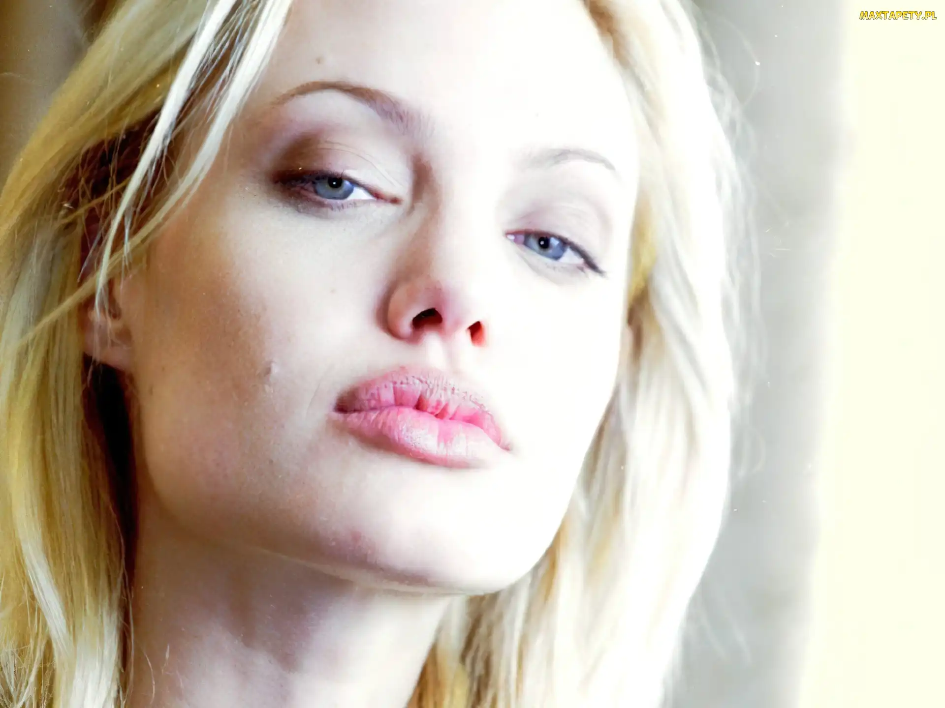 blond włosy, Angelina Jolie