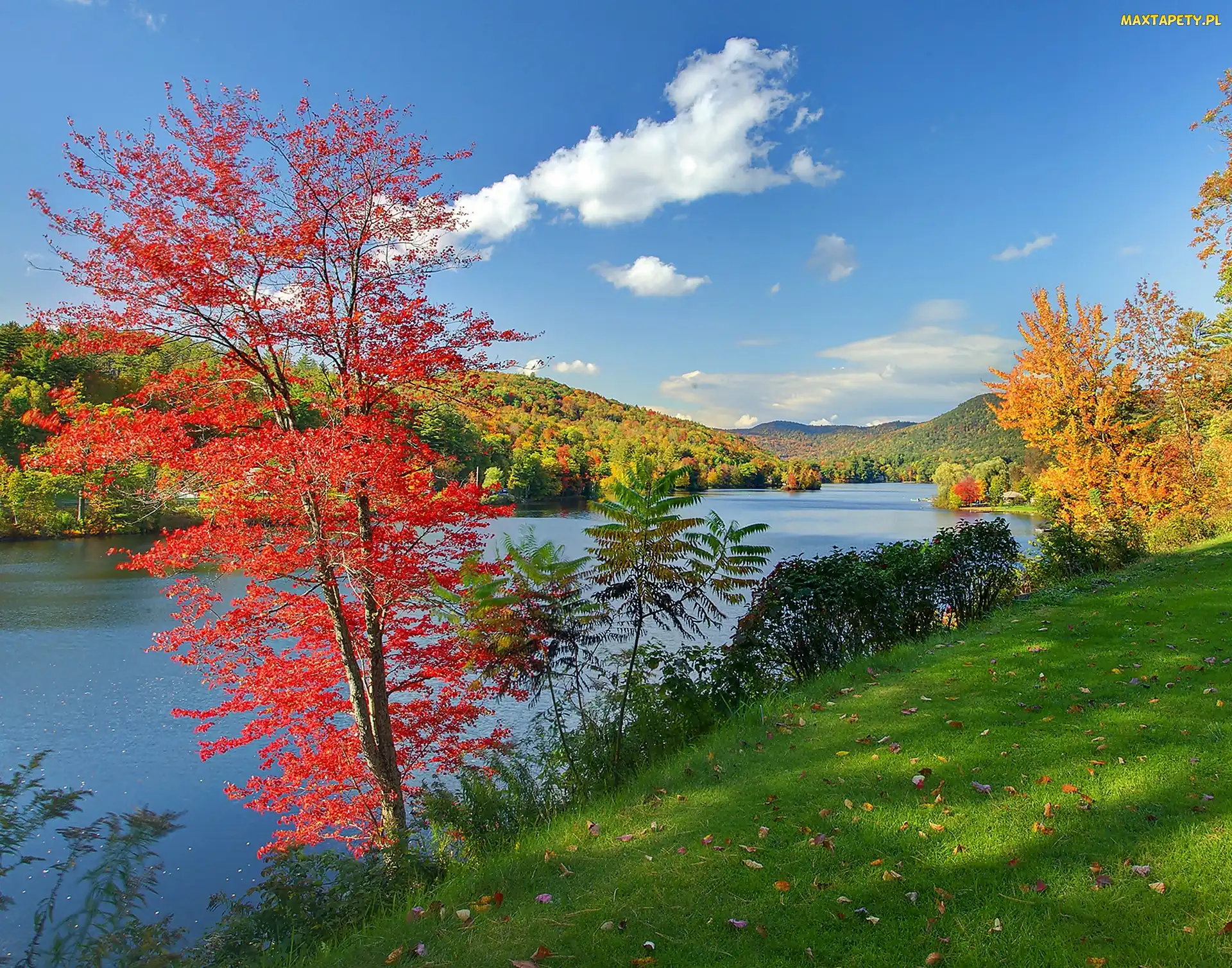 Jezioro, Lasy, Jesień, Vermont