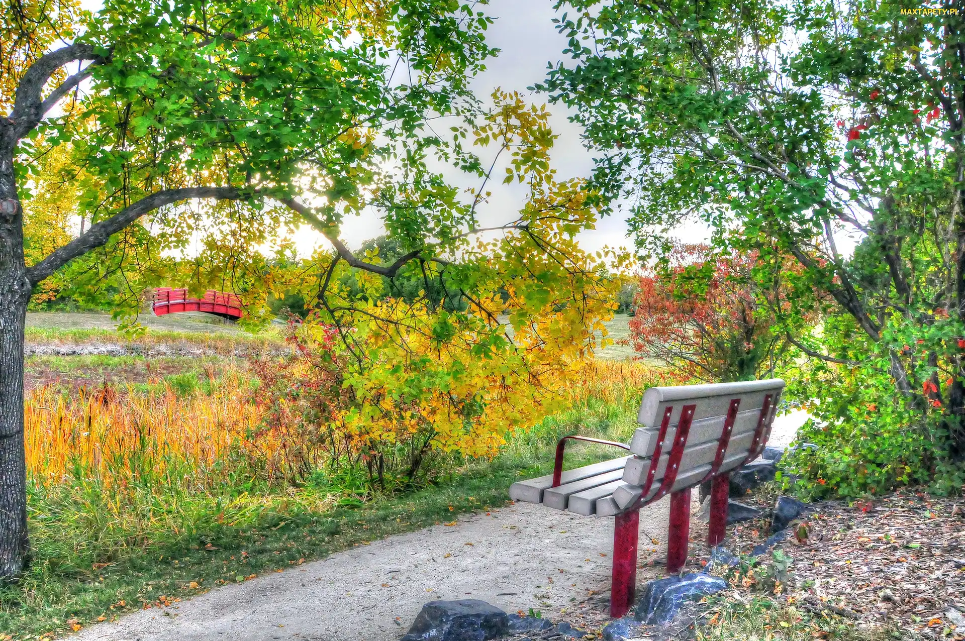 Drzewa, Ławka, Park, Alejka