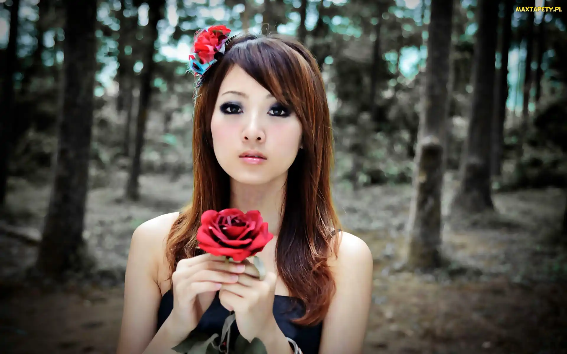 Las, Zhang, Lato, Mikako, Róże, Modelka, Rozmycie, Kaijie