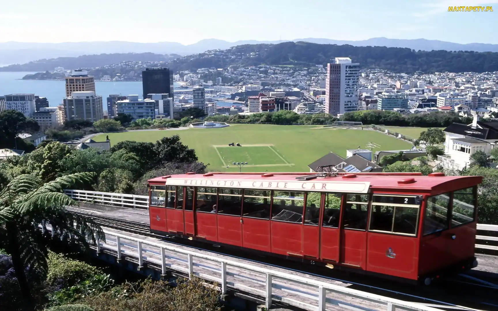Tramwaj, Miasto, Nowa Zelandia, Wellington