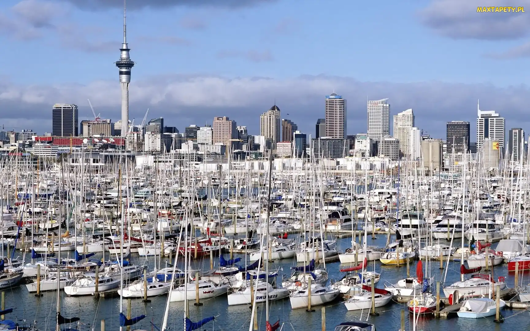Jachty, Miasto, Nowa Zelandia, Auckland