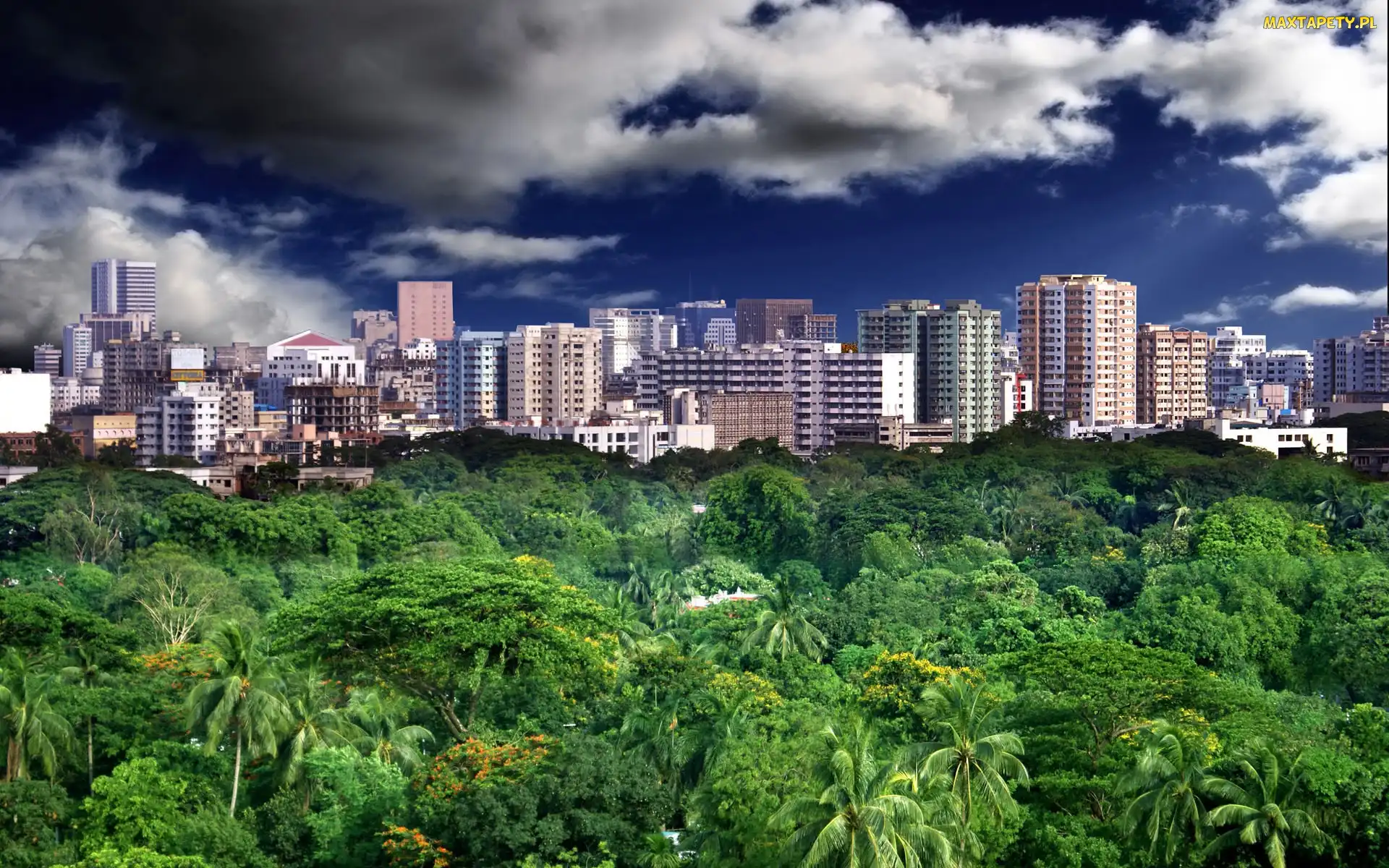 Las, Miasto, Bangladesz, Dhaka