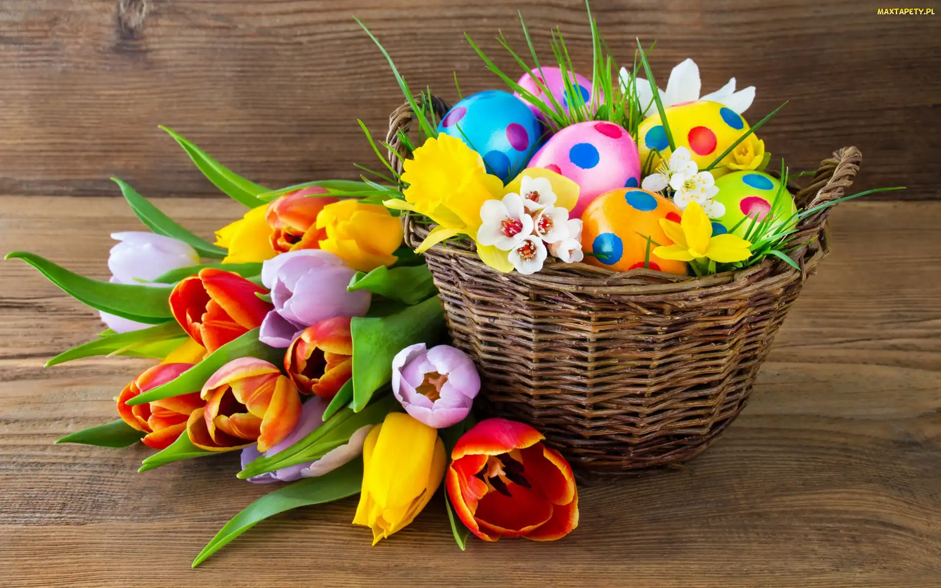 Wielkanoc, Ławka, Kolorowe, Koszyk, Pisanki, Tulipany