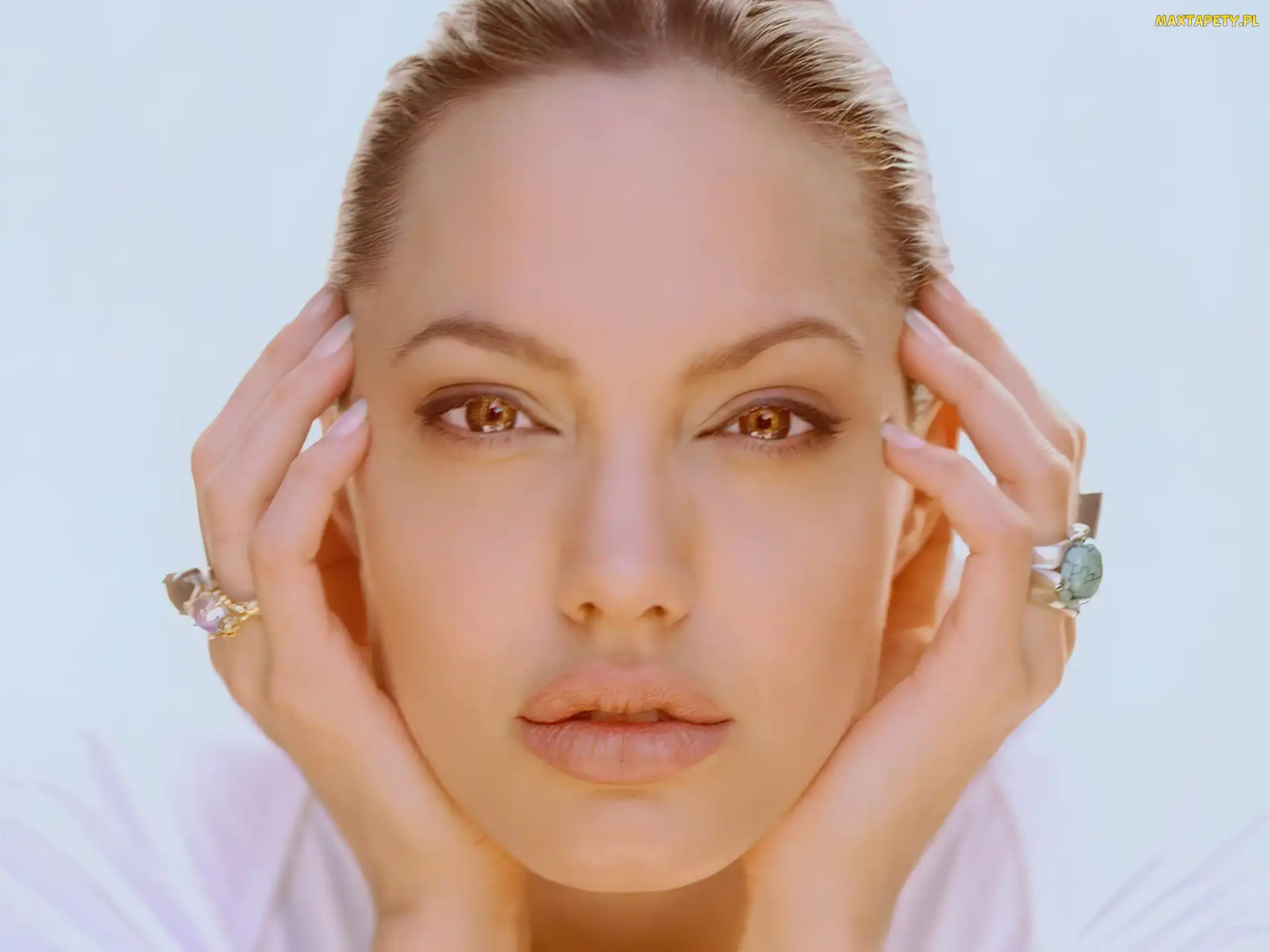 twarz, Angelina Jolie