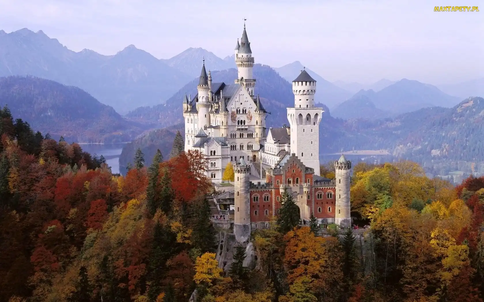 Bawaria, Drzewa, Skały, Zamek Neuschwanstein, Niemcy