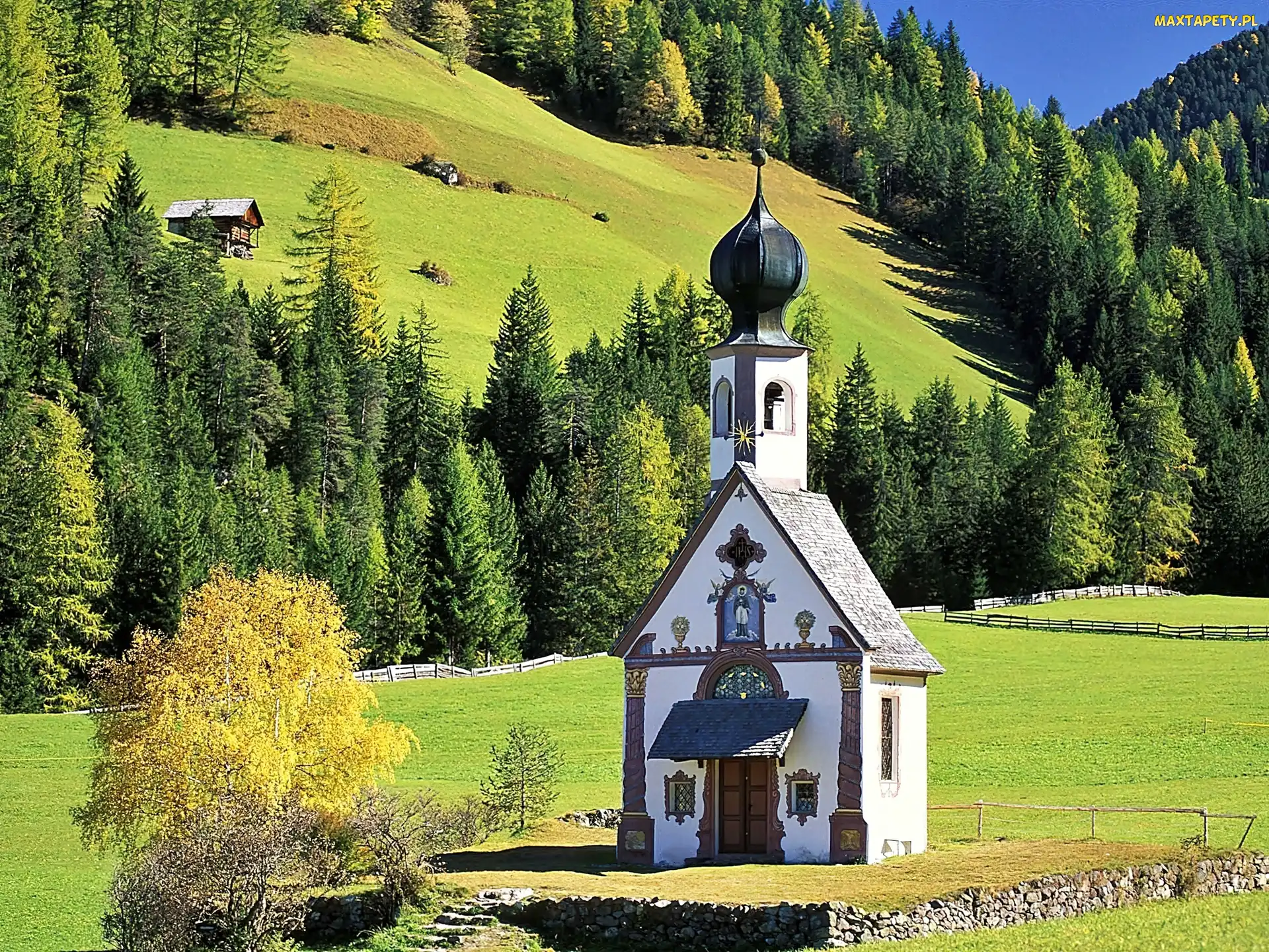 Kościółek, Łąki, Góry, Lasy