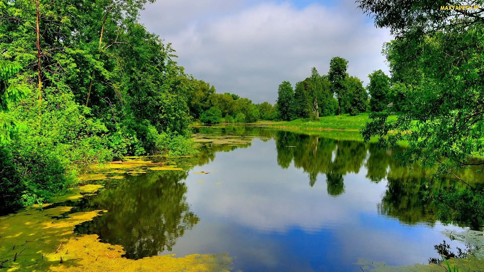Las, Jezioro
