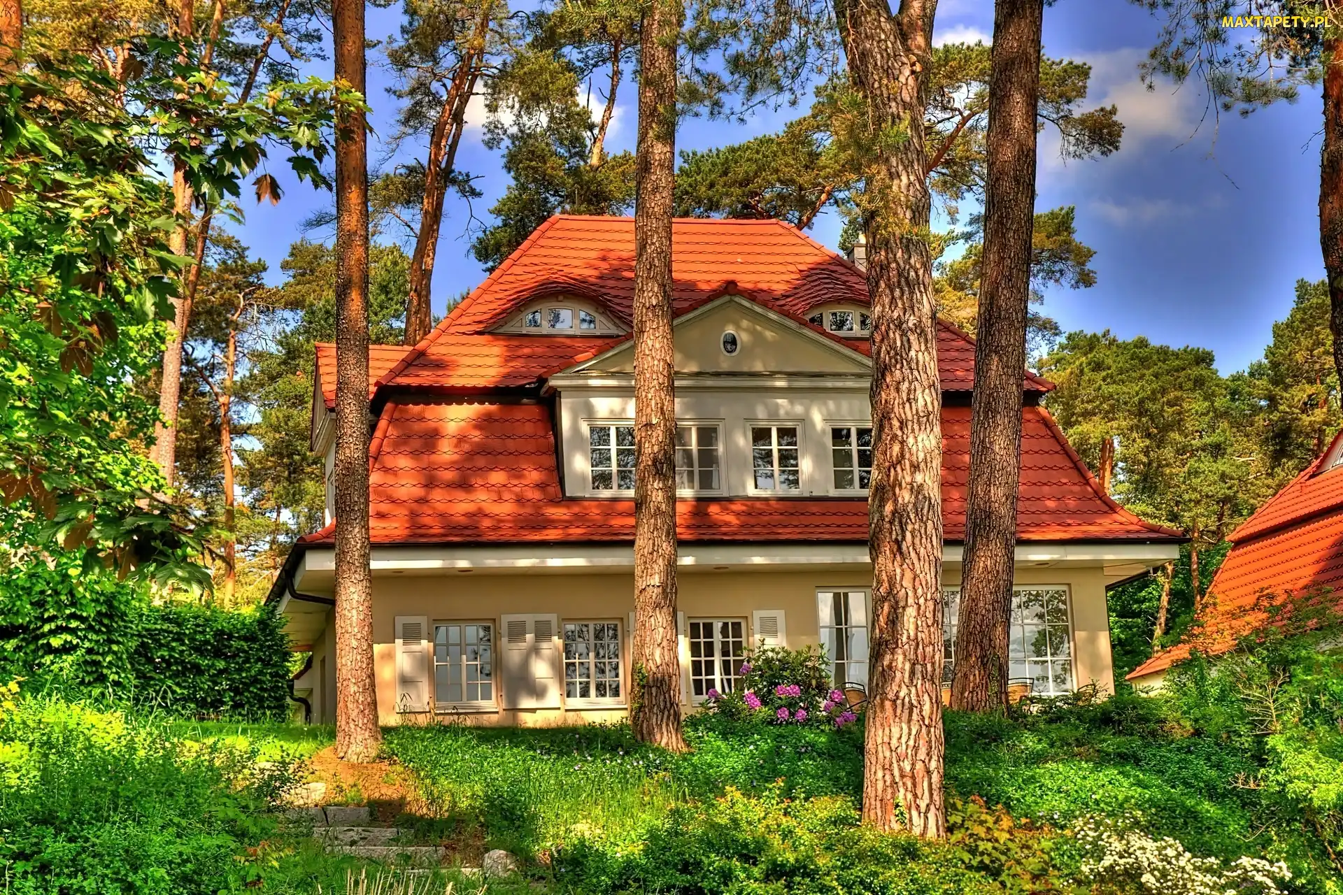 Las, Światło, Przebijające, Domy, Wiosna
