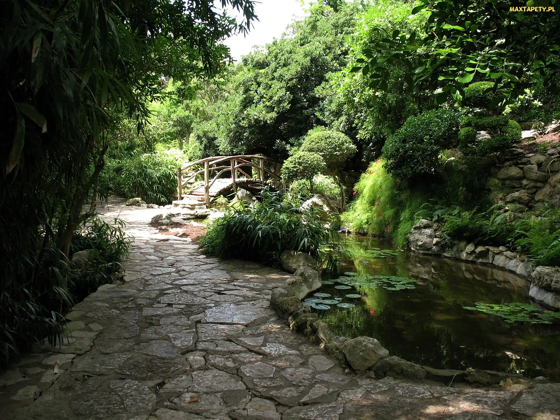 Park, Mostek, Staw