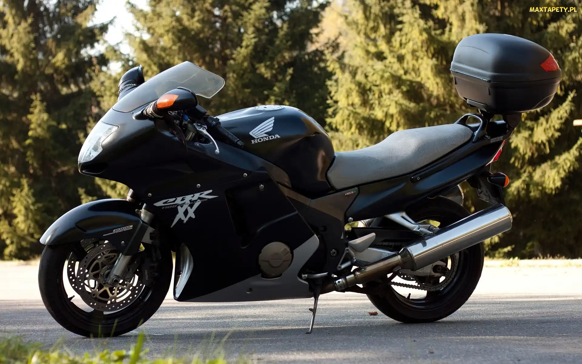 CBR, 1100xx, Honda
