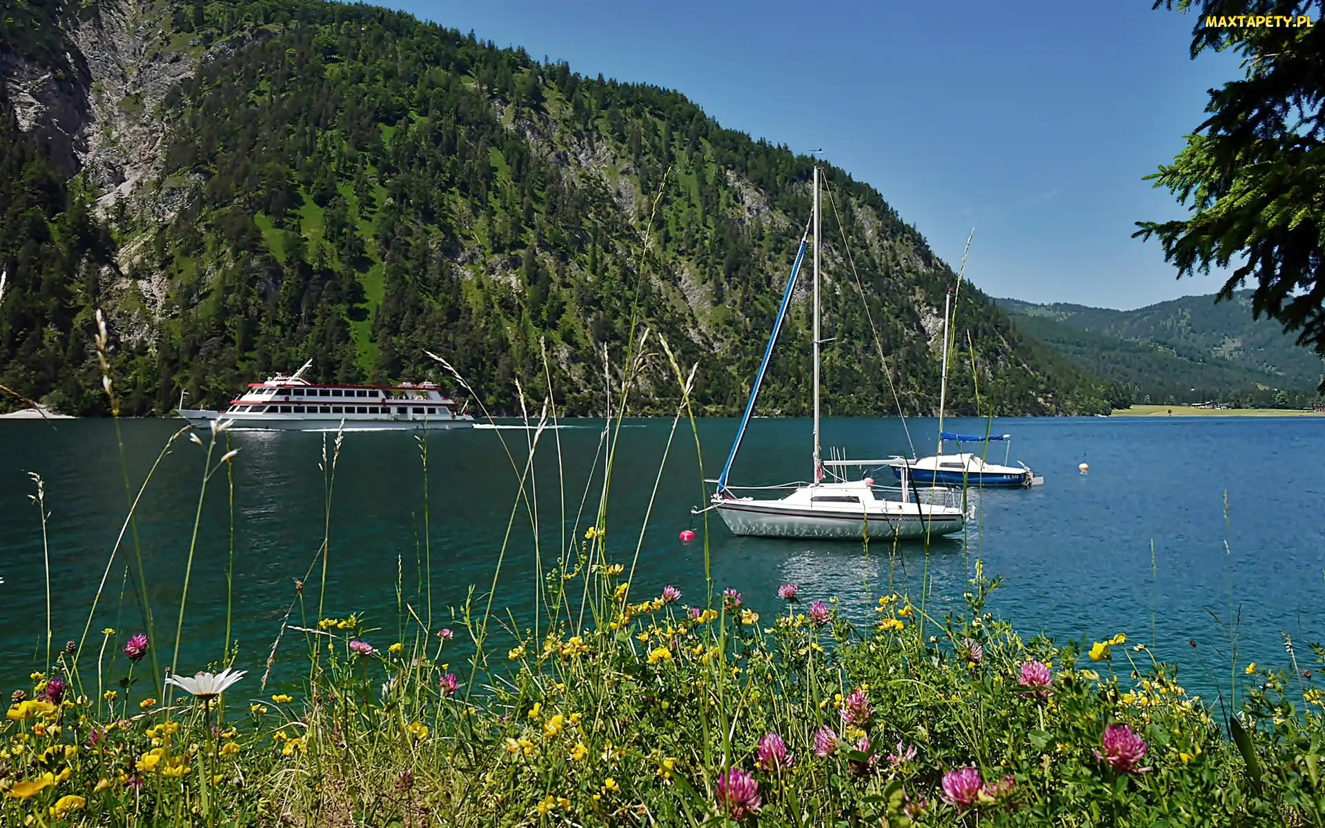 Tyrol, Statek, Achensee, Wycieczkowy, Jachty, Jezioro, Góry, Lasy, Łąka