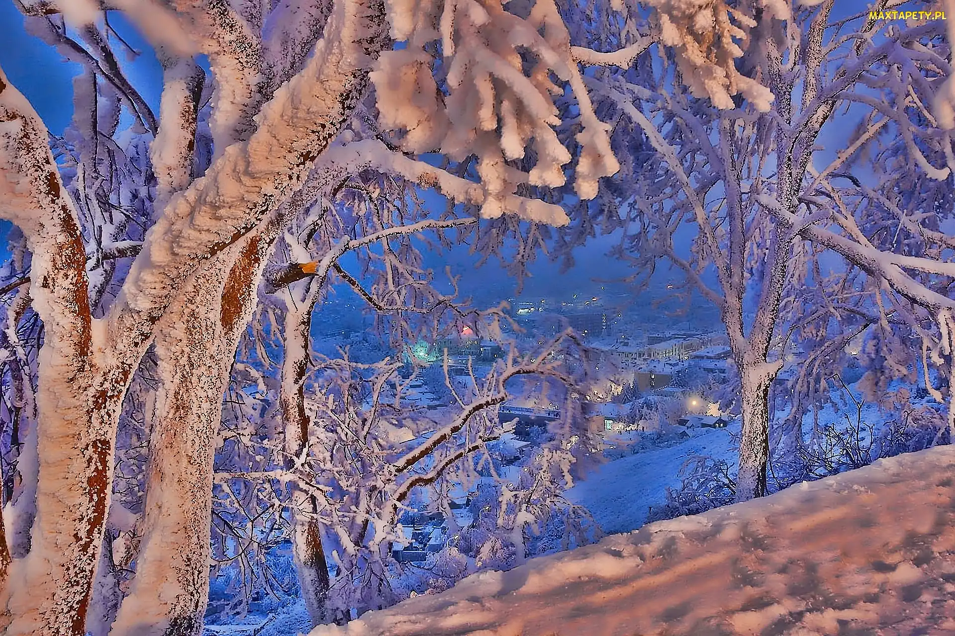 Drzewa, Miasteczko, Zima, Śnieg
