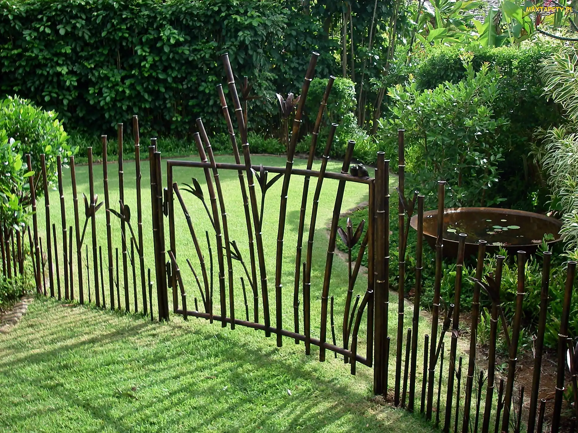 Wyspa, Johnson, Hawaje, Ogród, Przebijające, Kauai, Światło, Gate