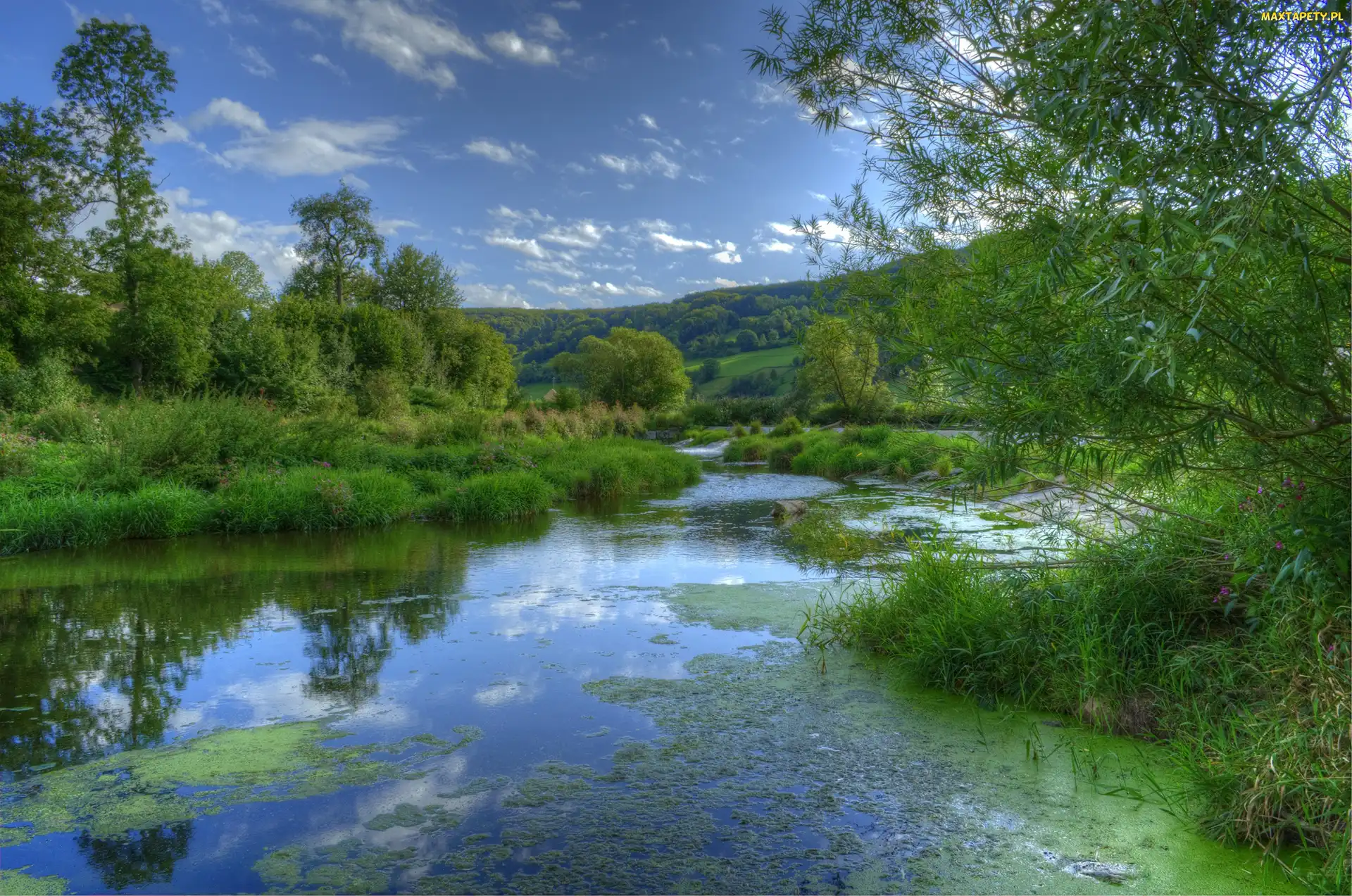 Trawy, Drzwa, Rzeka