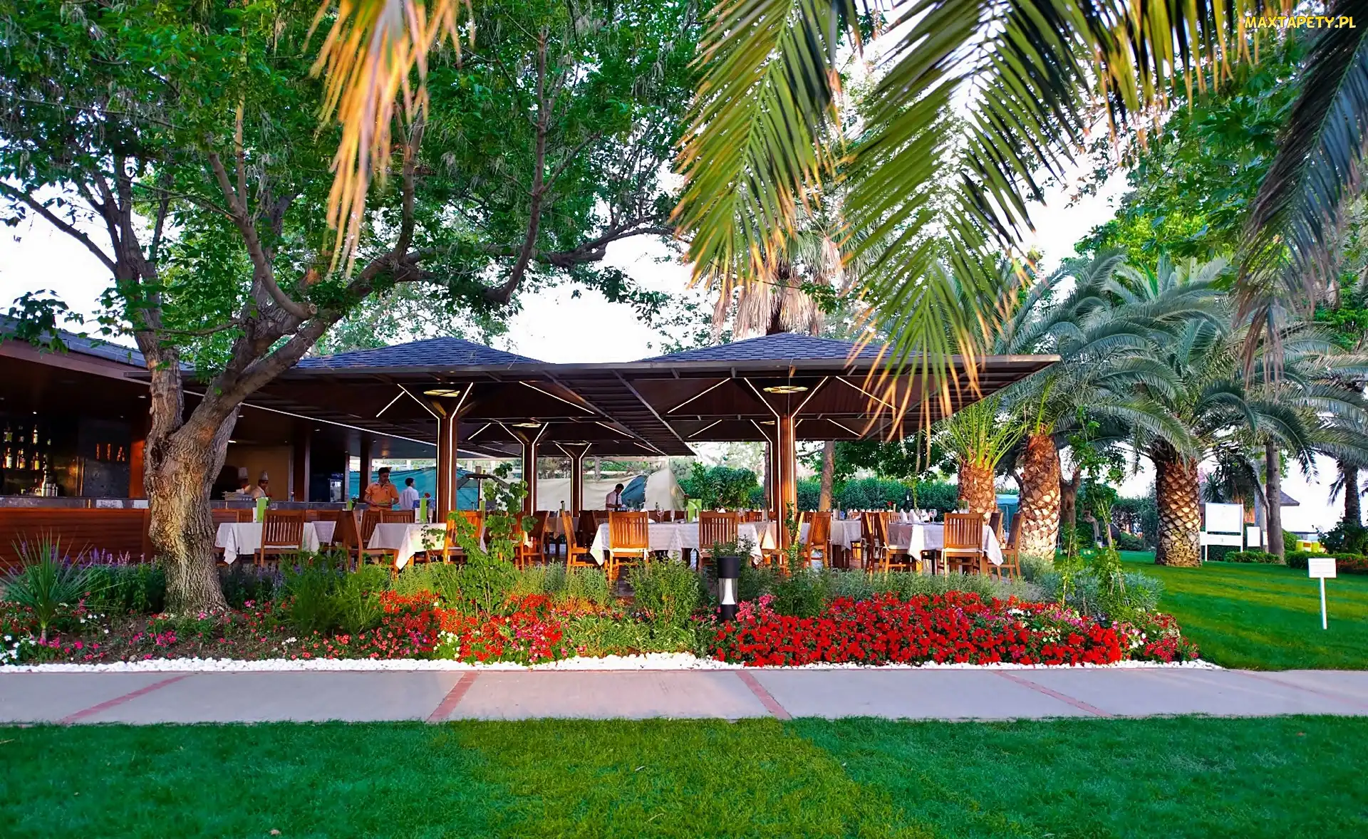 Restauracja, Światło, Przebijające, Roślinność, Antalya