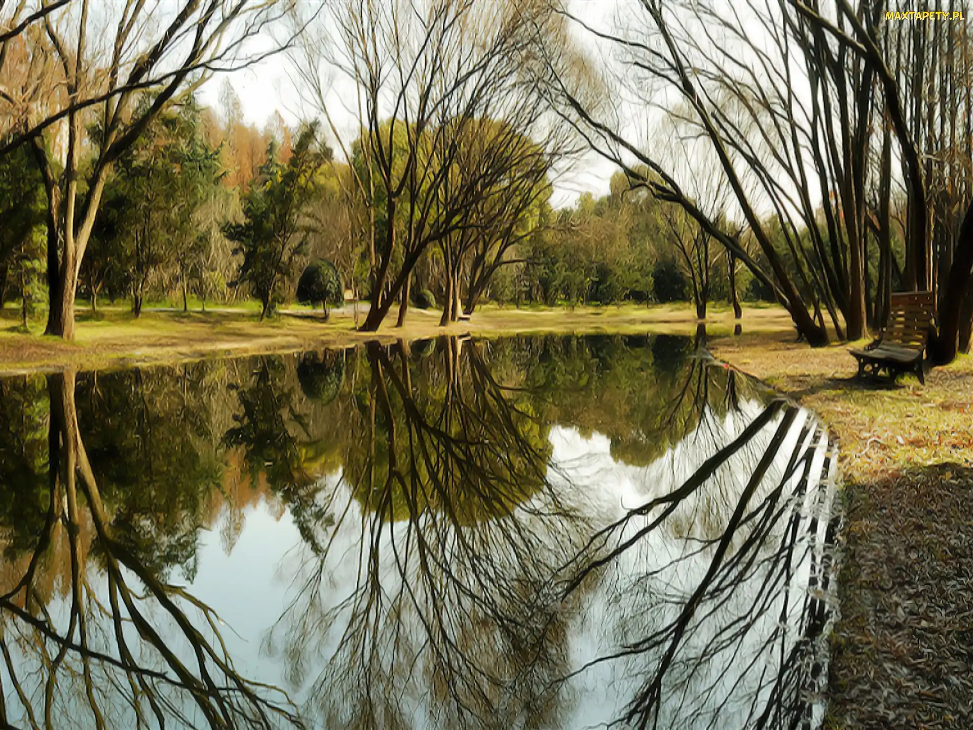 Rzeka, Odbicie, Ławka, Drzewa, Park