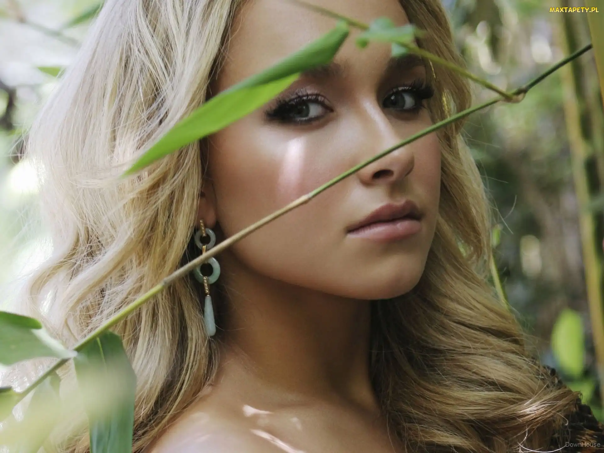 Źdźbło, Makijaż, Blondynka, Trawy, Kolczyki, Kobieta, Hayden Panettiere