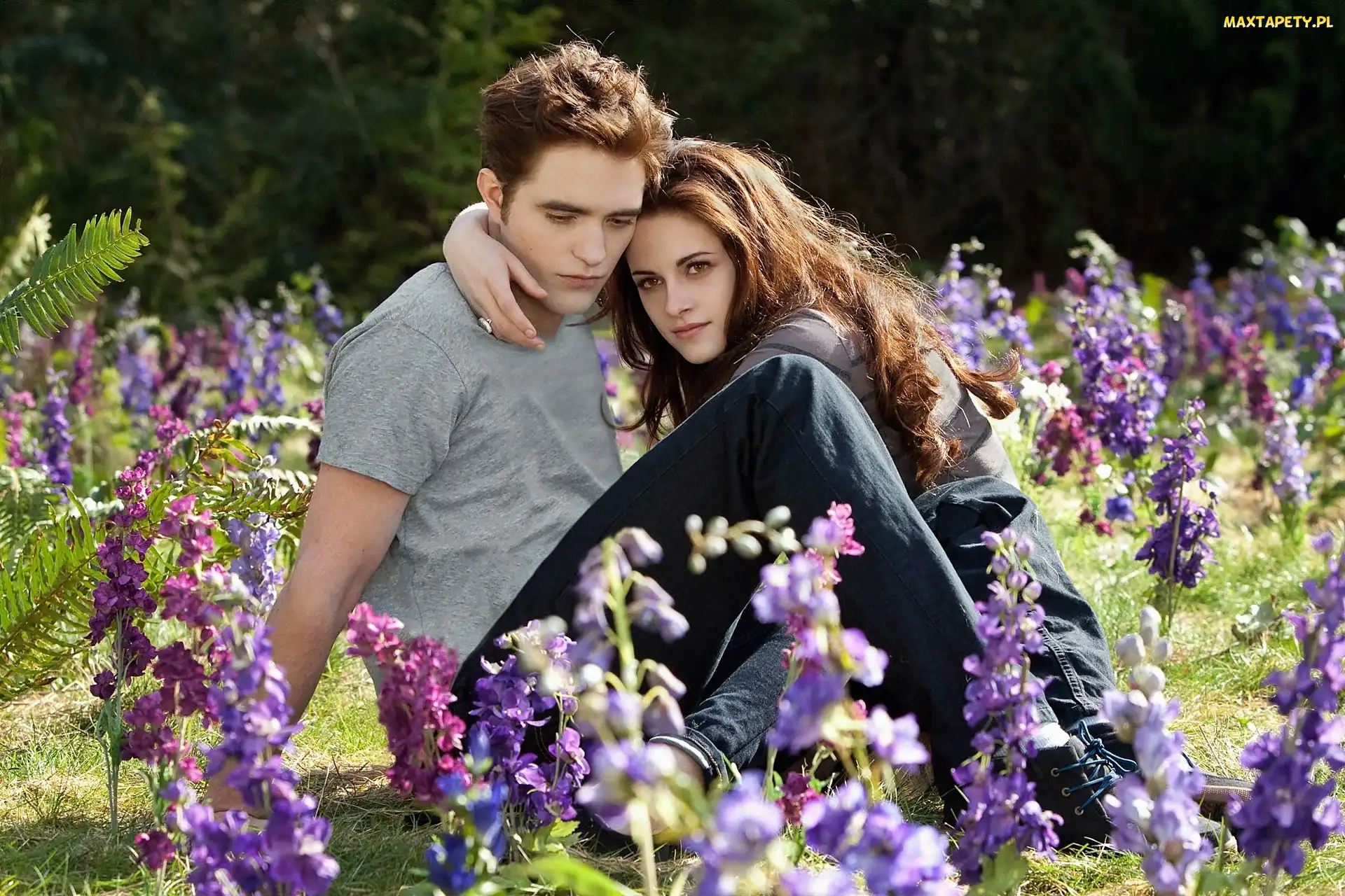 Łąka, Kristen Stewart, Robert Pattinson, Kwiaty