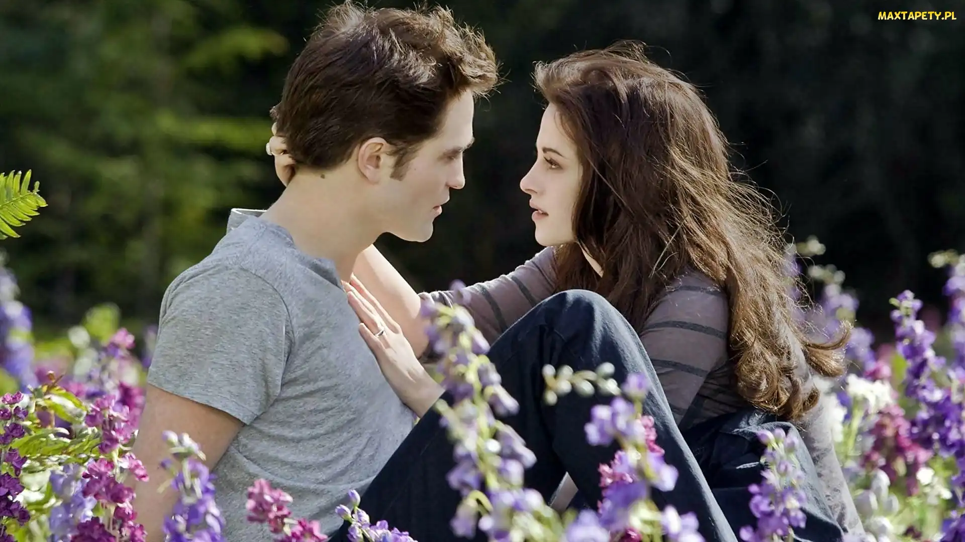 Kristen Stewart, Robert Pattinson, Łąka, Kwiaty