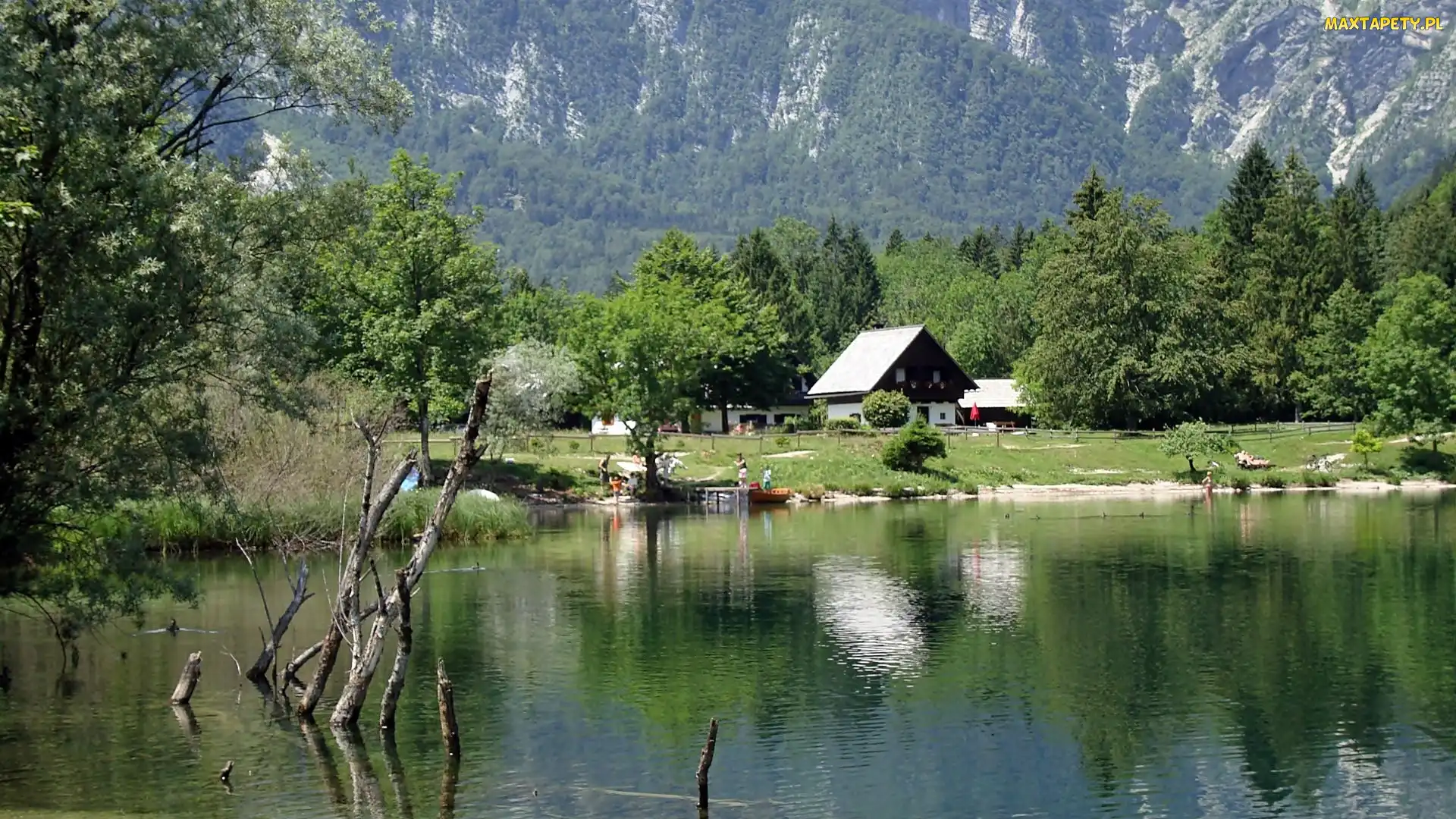 Góry, Domy, Jezioro, Bohinj, Lasy