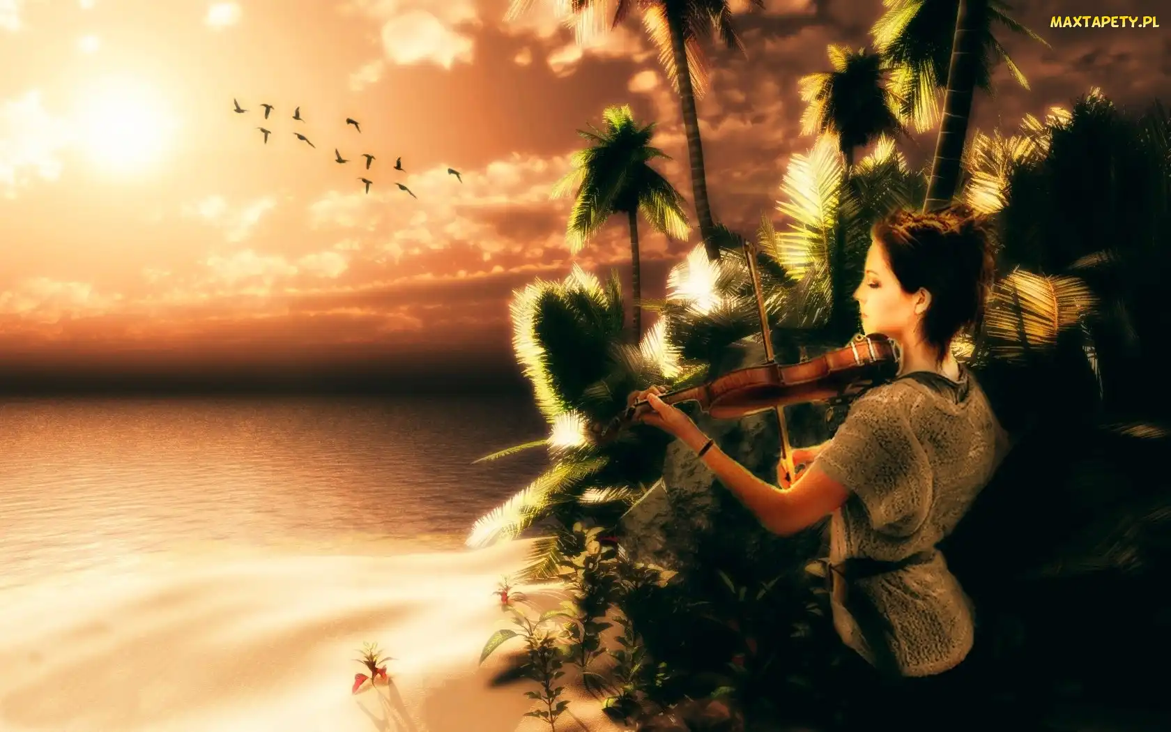 Lindsey Stirling, Skrzypce