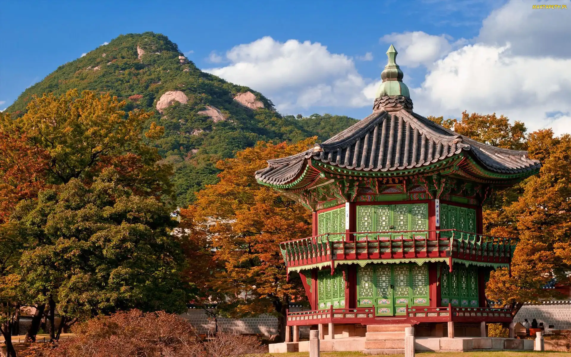 Dom, Drzewa, Góry, Jesień, Japonia