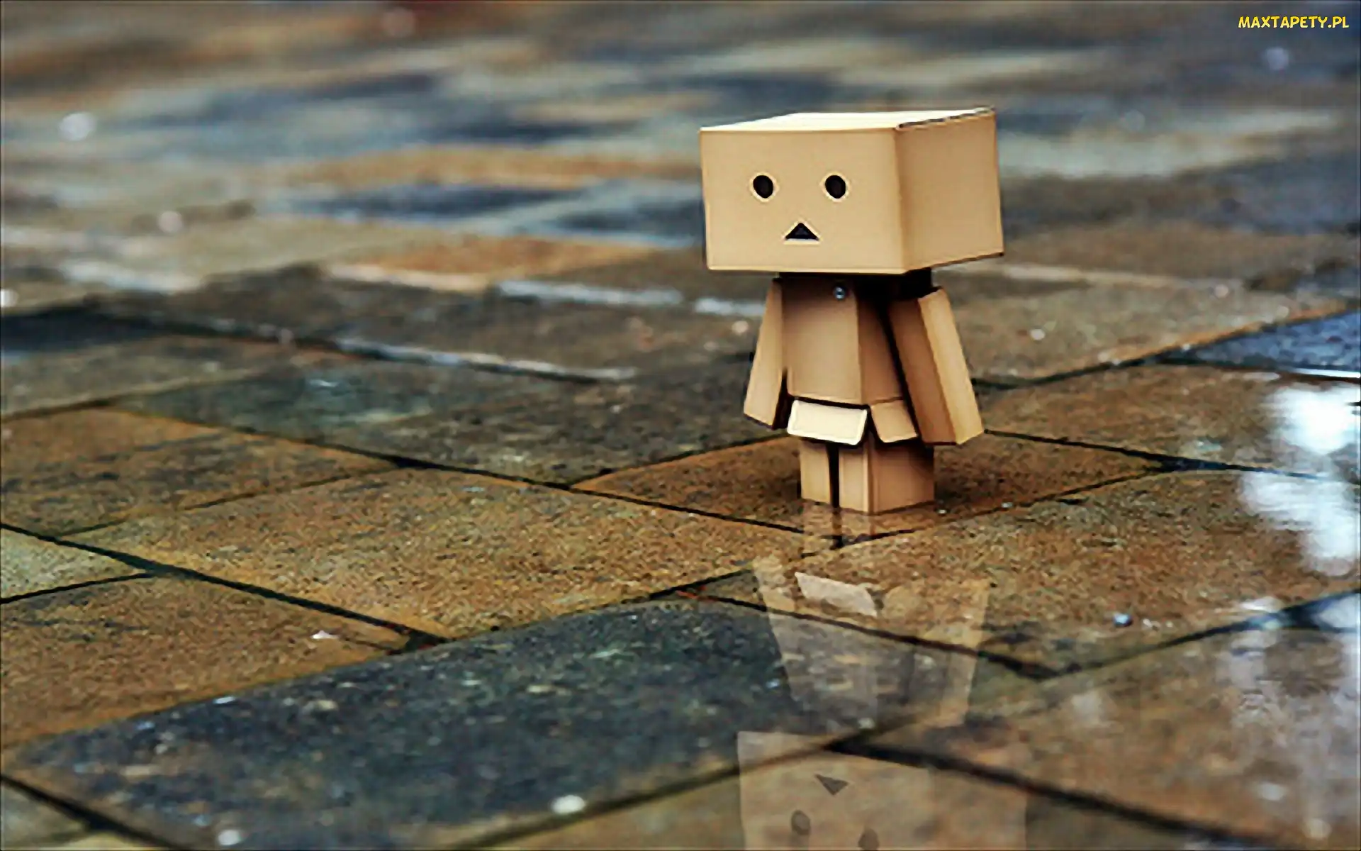 Odbicie, Chodnik, Danbo, Mokry