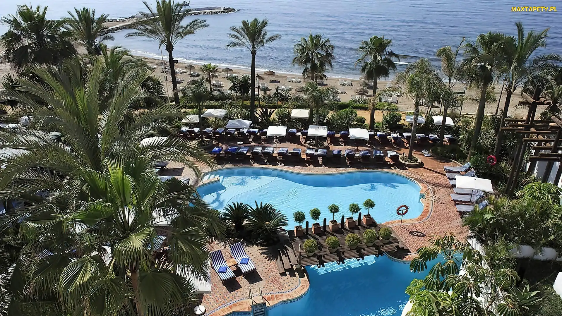 Palmy, Basen, Plaża, Morze, Kompleks, Hotelowy