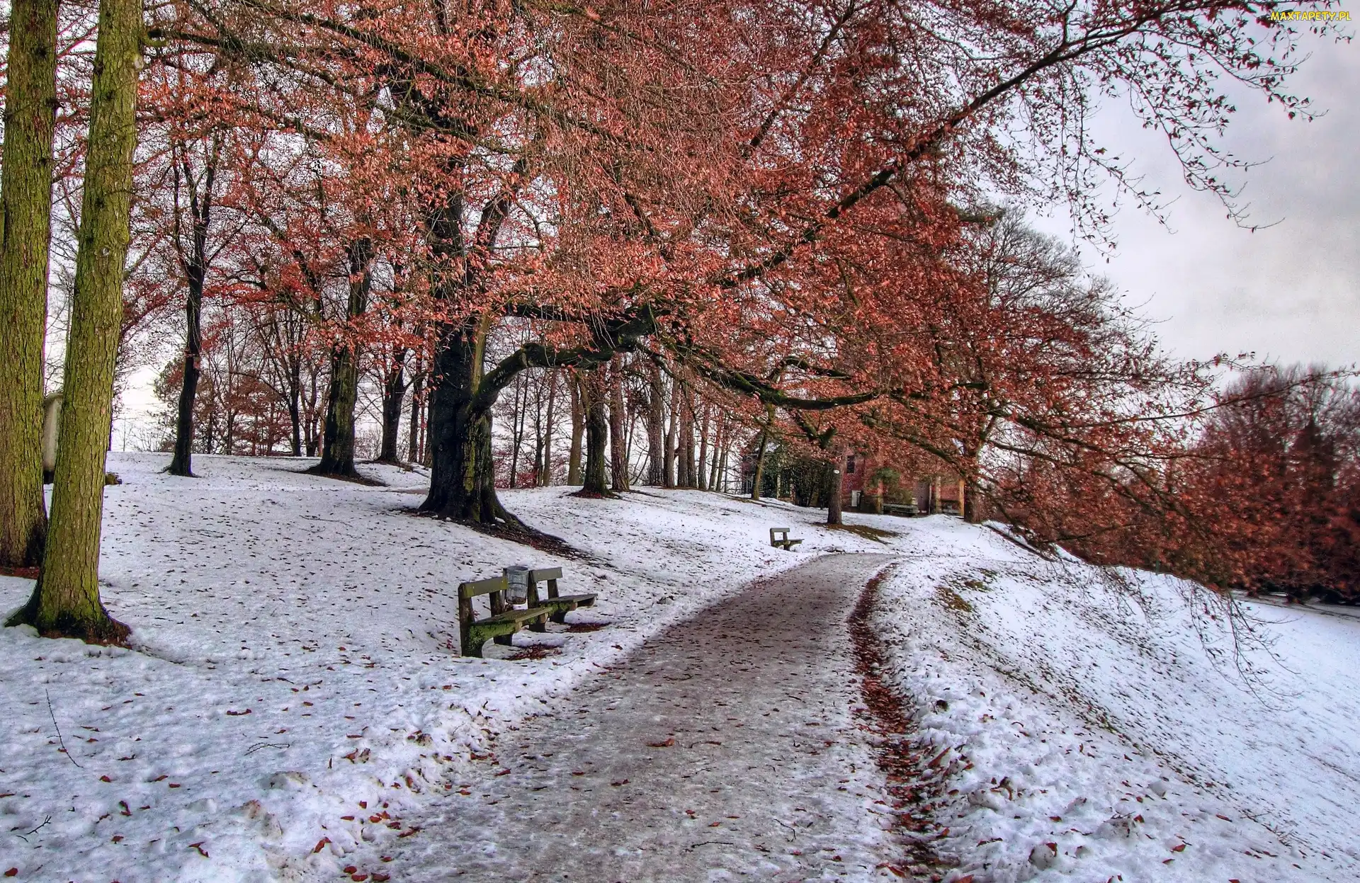 Park, Ławeczki, Zima