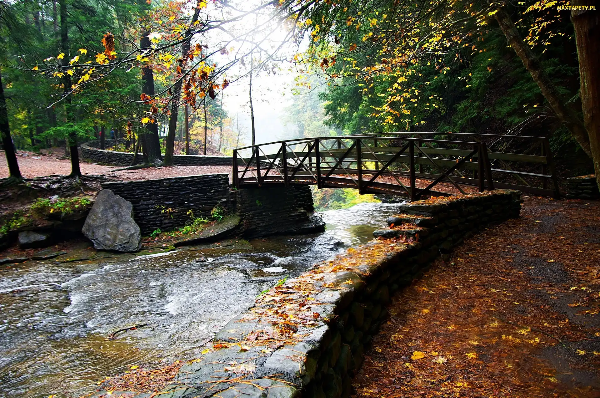 Jesień, Most, Park, Rzeczka