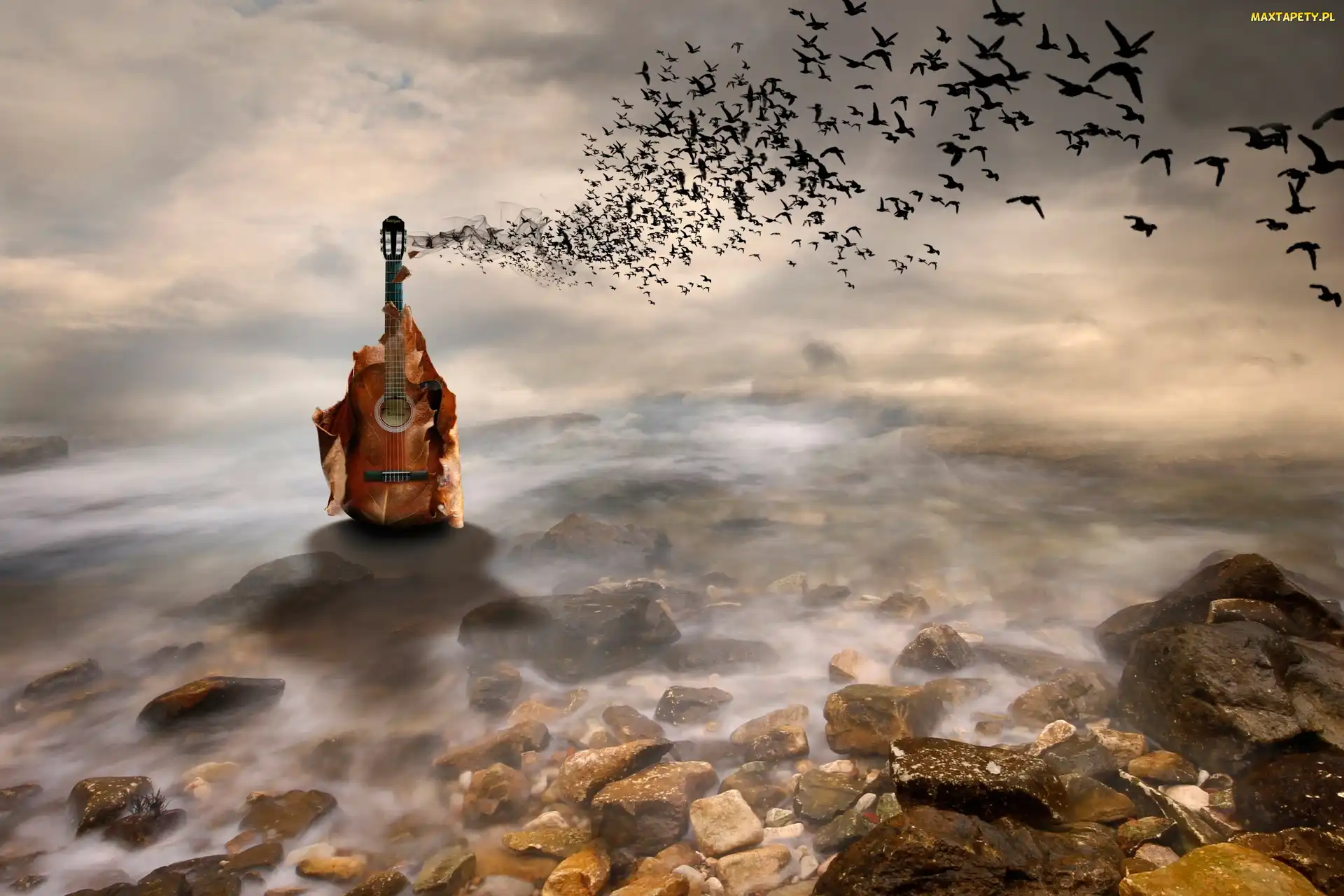 Gitara, Ptaki, Kamienie, Morze, Fantasy