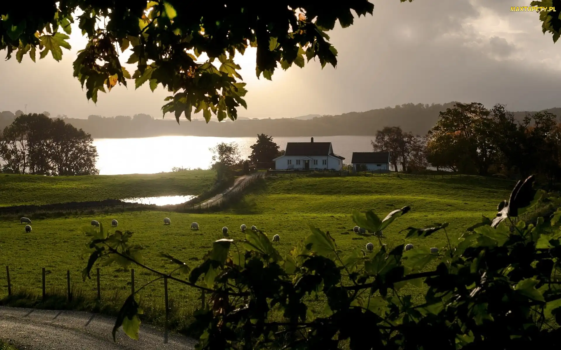 Jezioro, Poranek, Mgła, Łąka, Dom