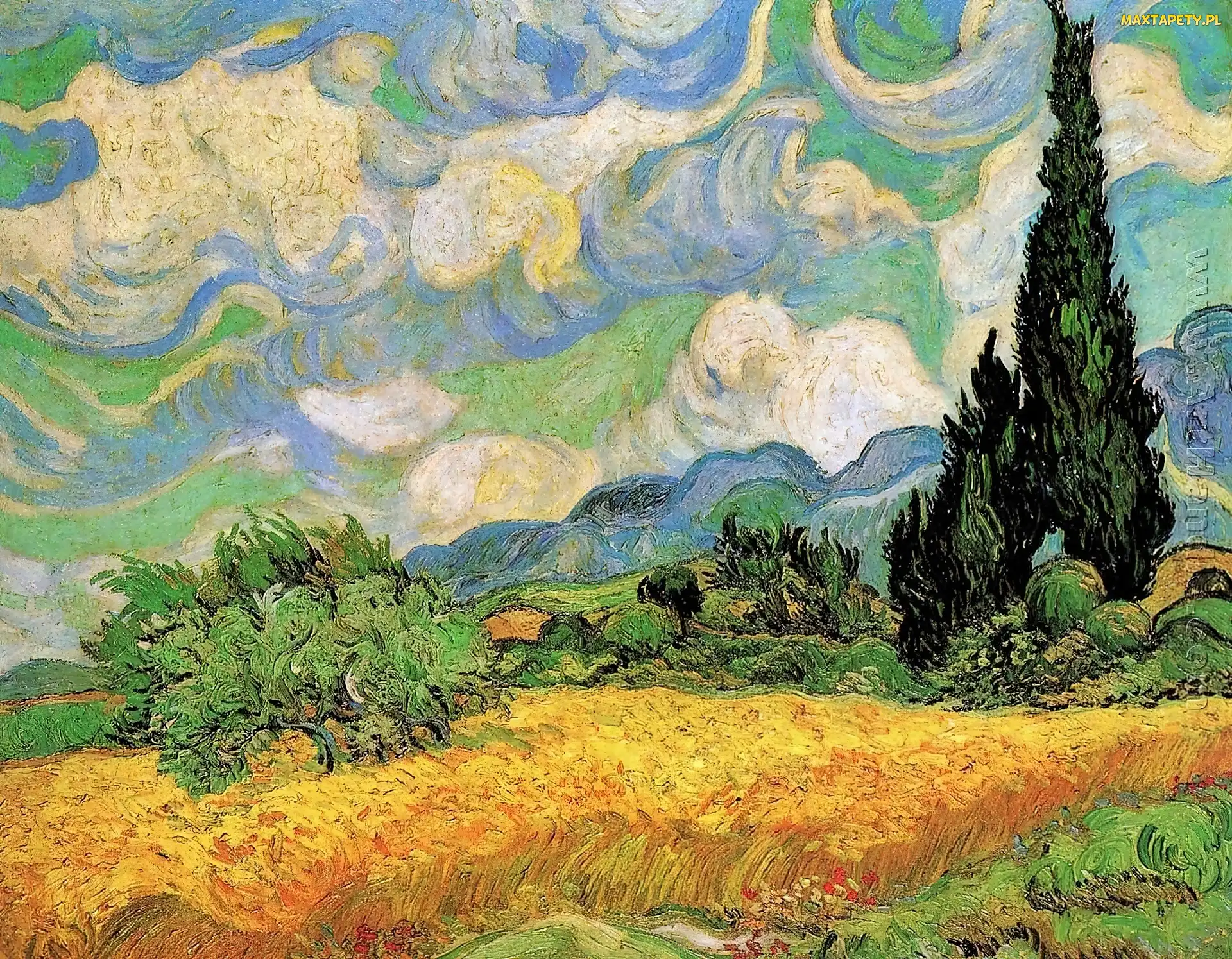 Vincent, Pole, Van Gogh