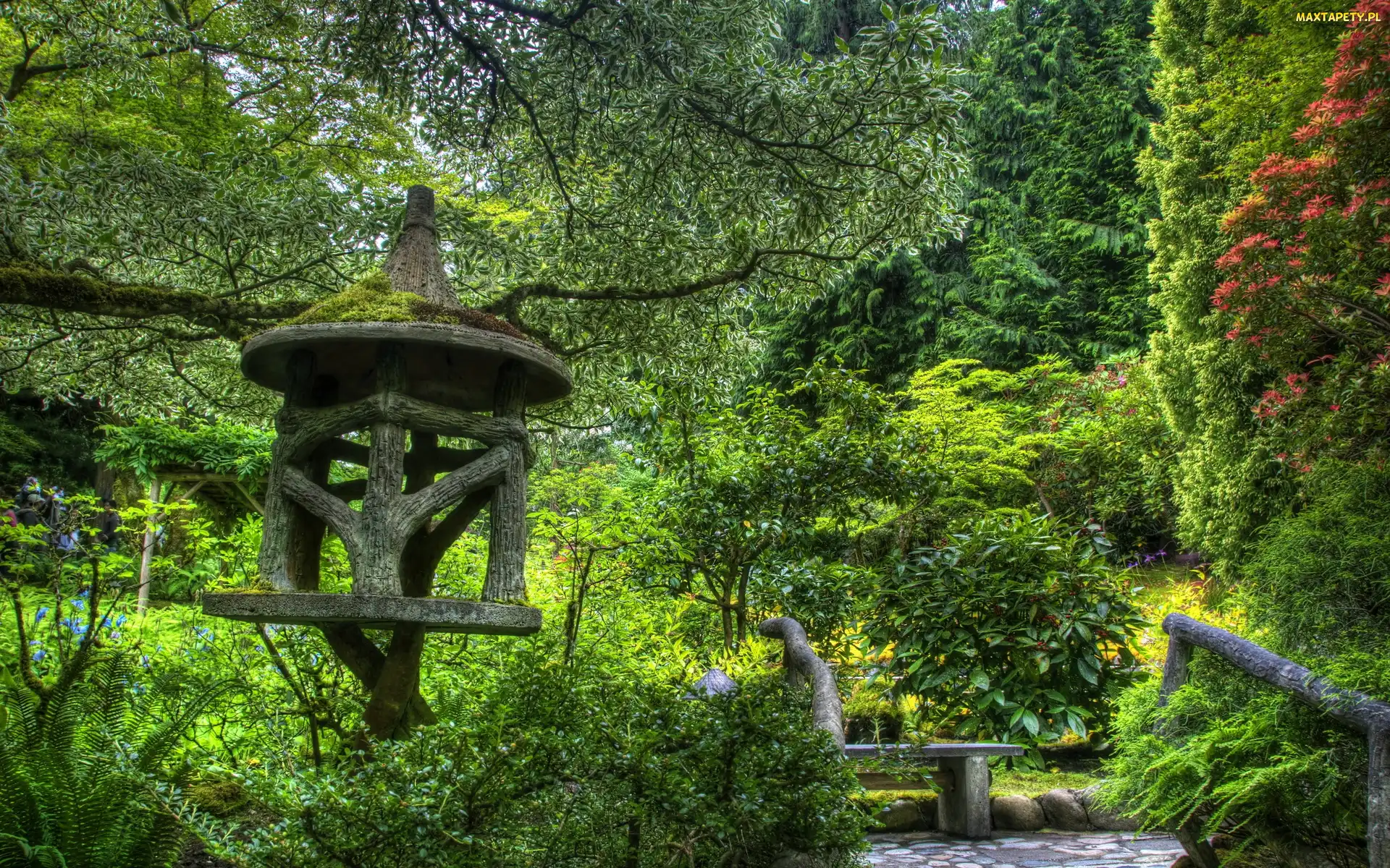 Ławka, Karmnik, Park
