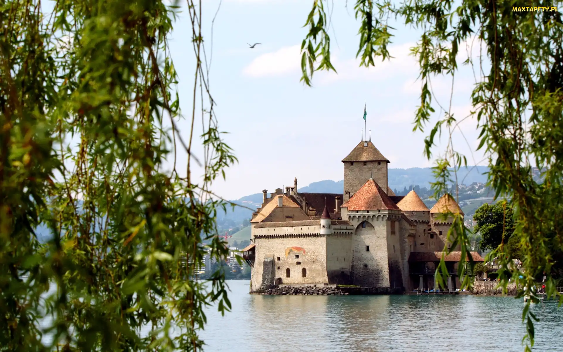 Gałęzie, Szwajcaria, Château de Chillon, Drzewa, Kanton Vaud, Zamek Chillon, Jezioro Genewskie