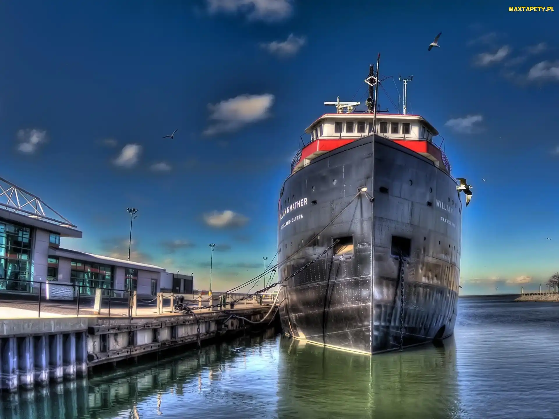 Port, Ptaki, Statek