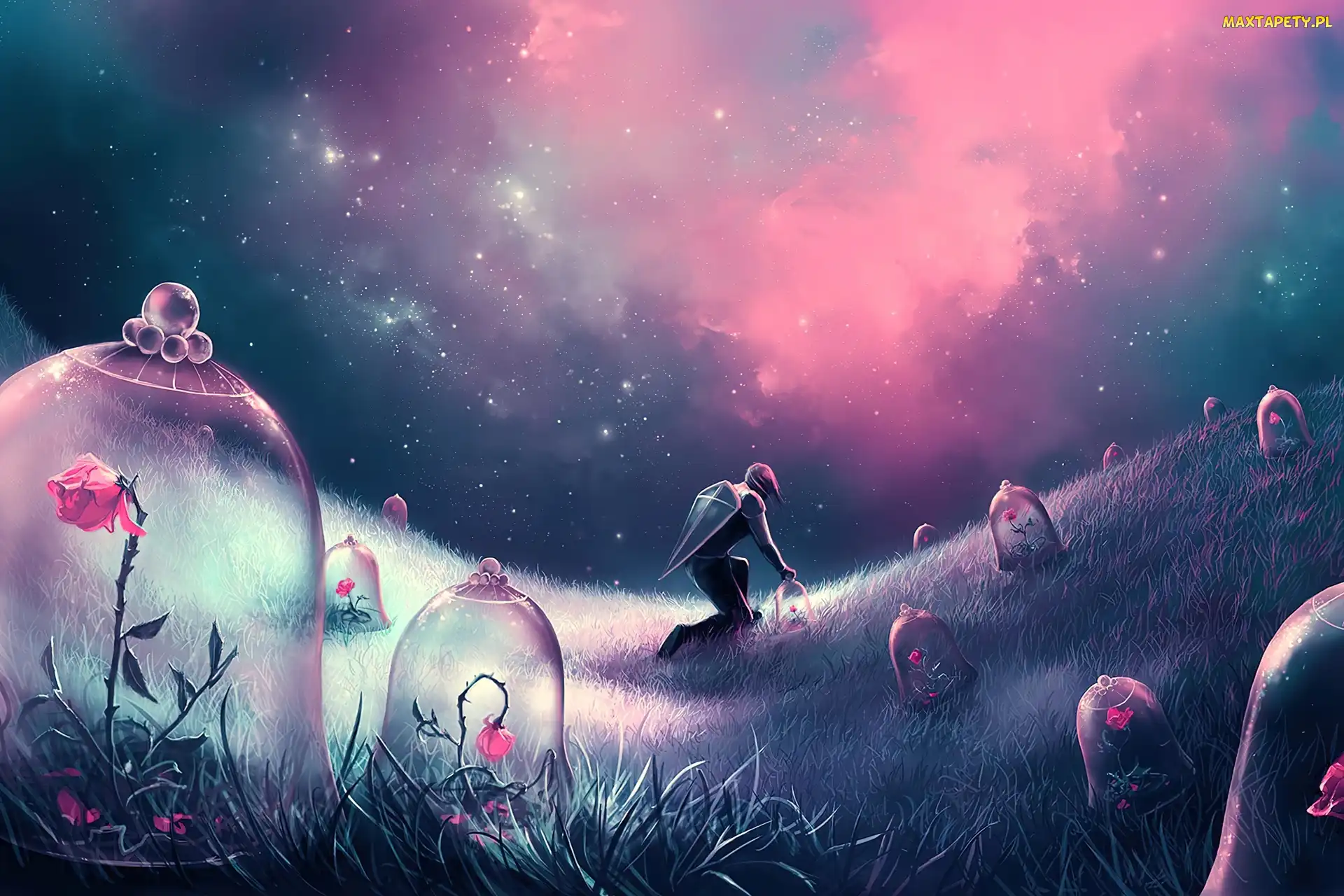 Mały Książę, Róże, Cyril Rolando