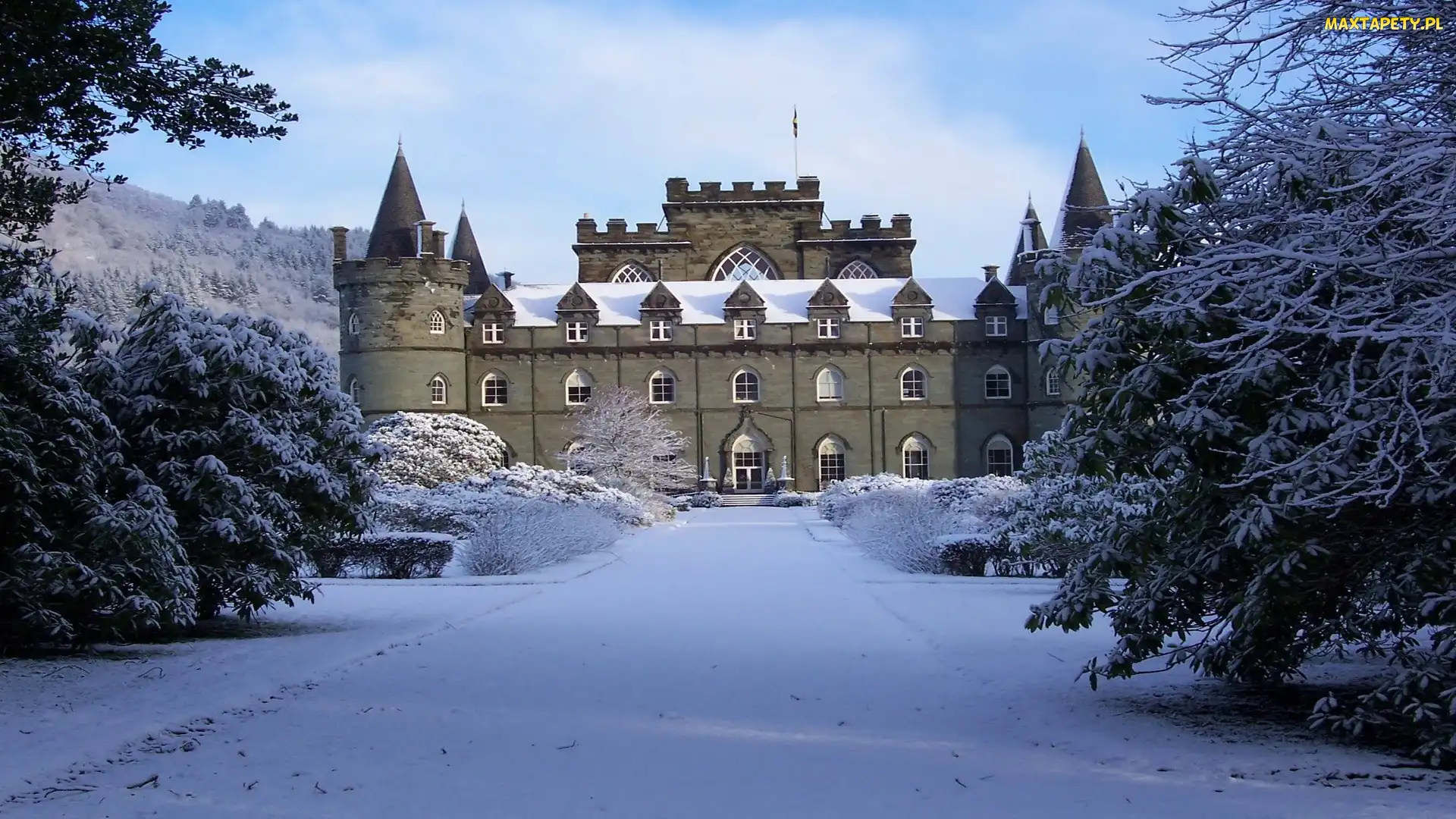Aleja, Drzewa, Inveraray Castle, Zamek Inveraray, Szkocja, Zima